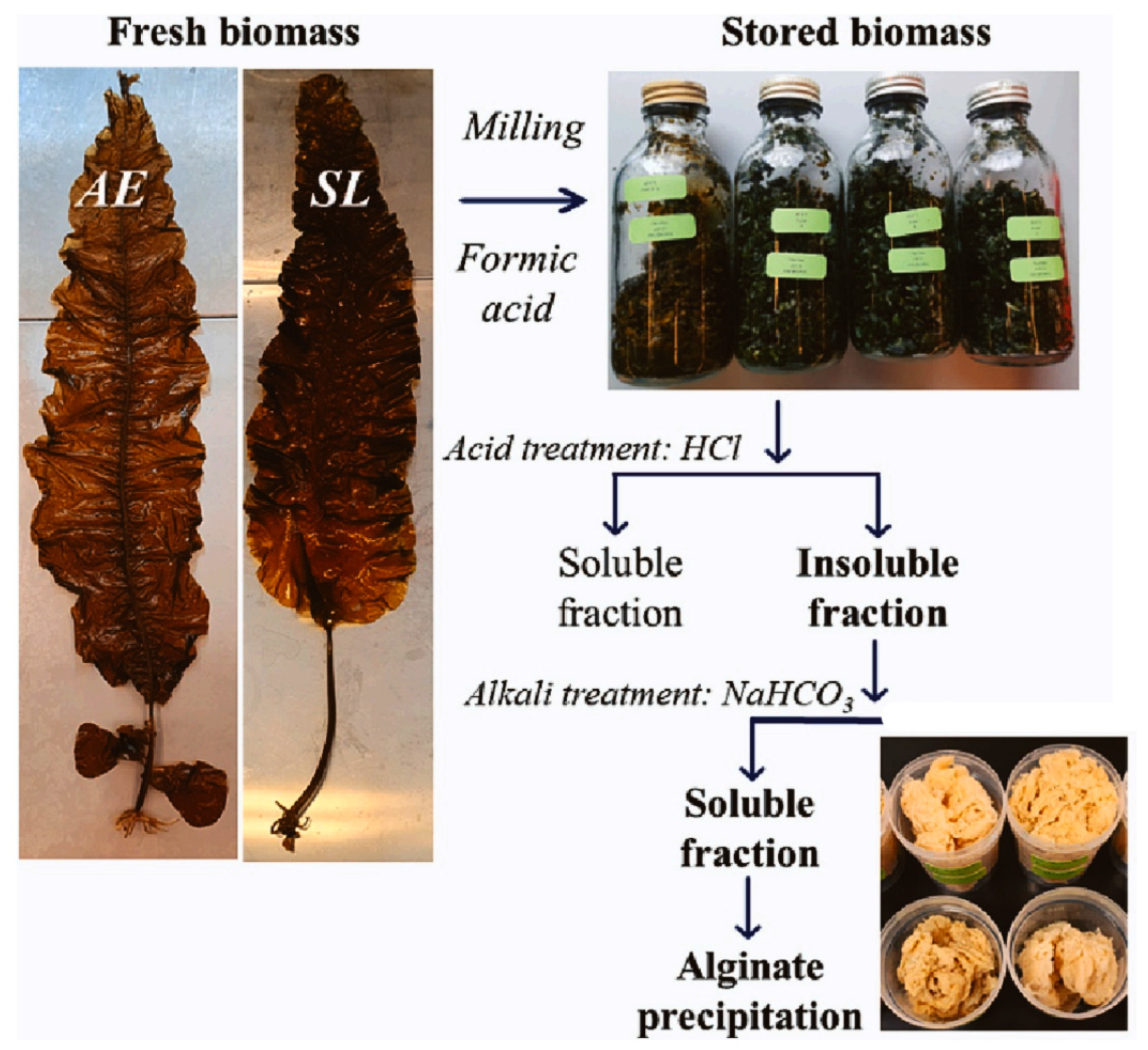 Molecules 29 04406 g004