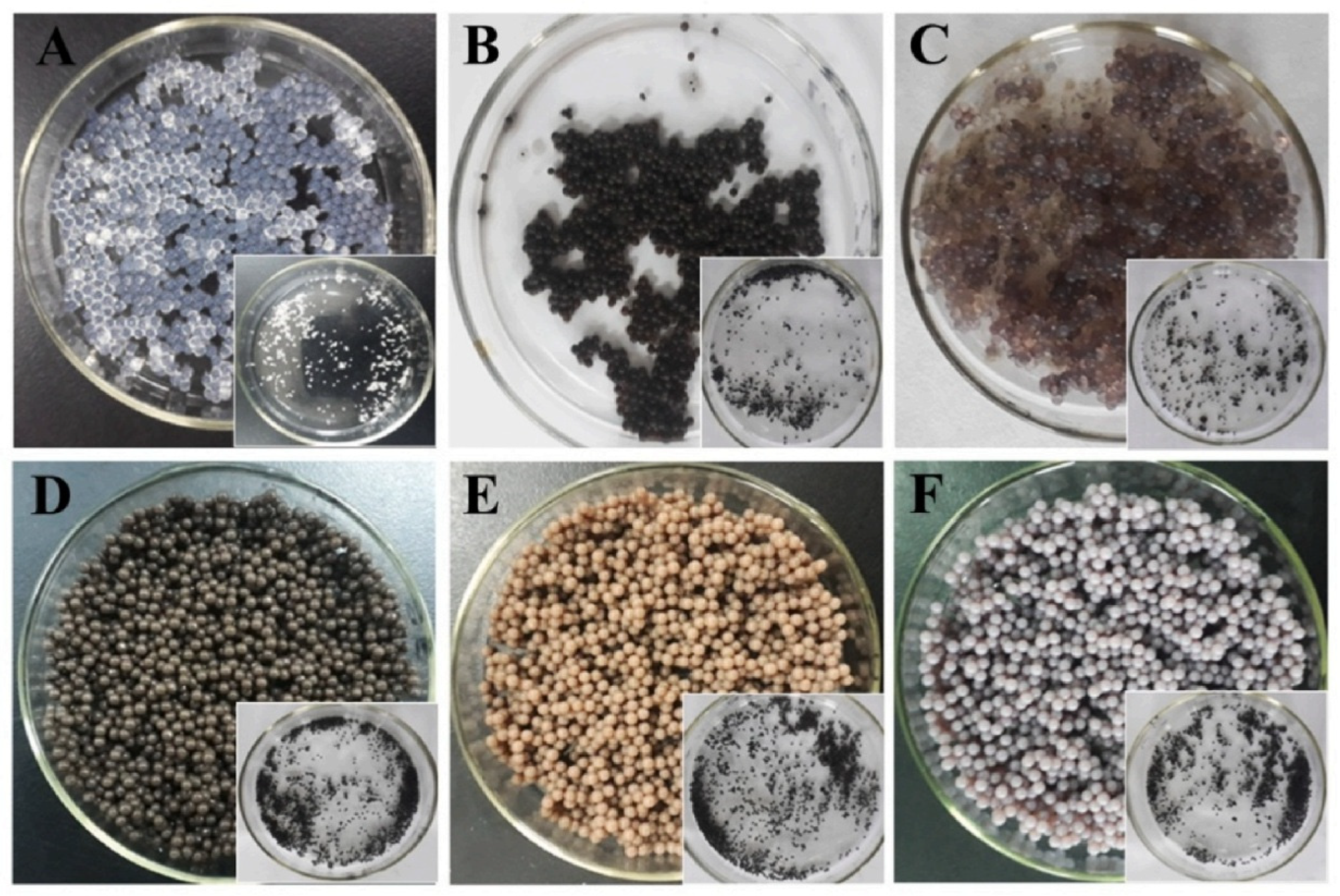 Molecules 29 04406 g007