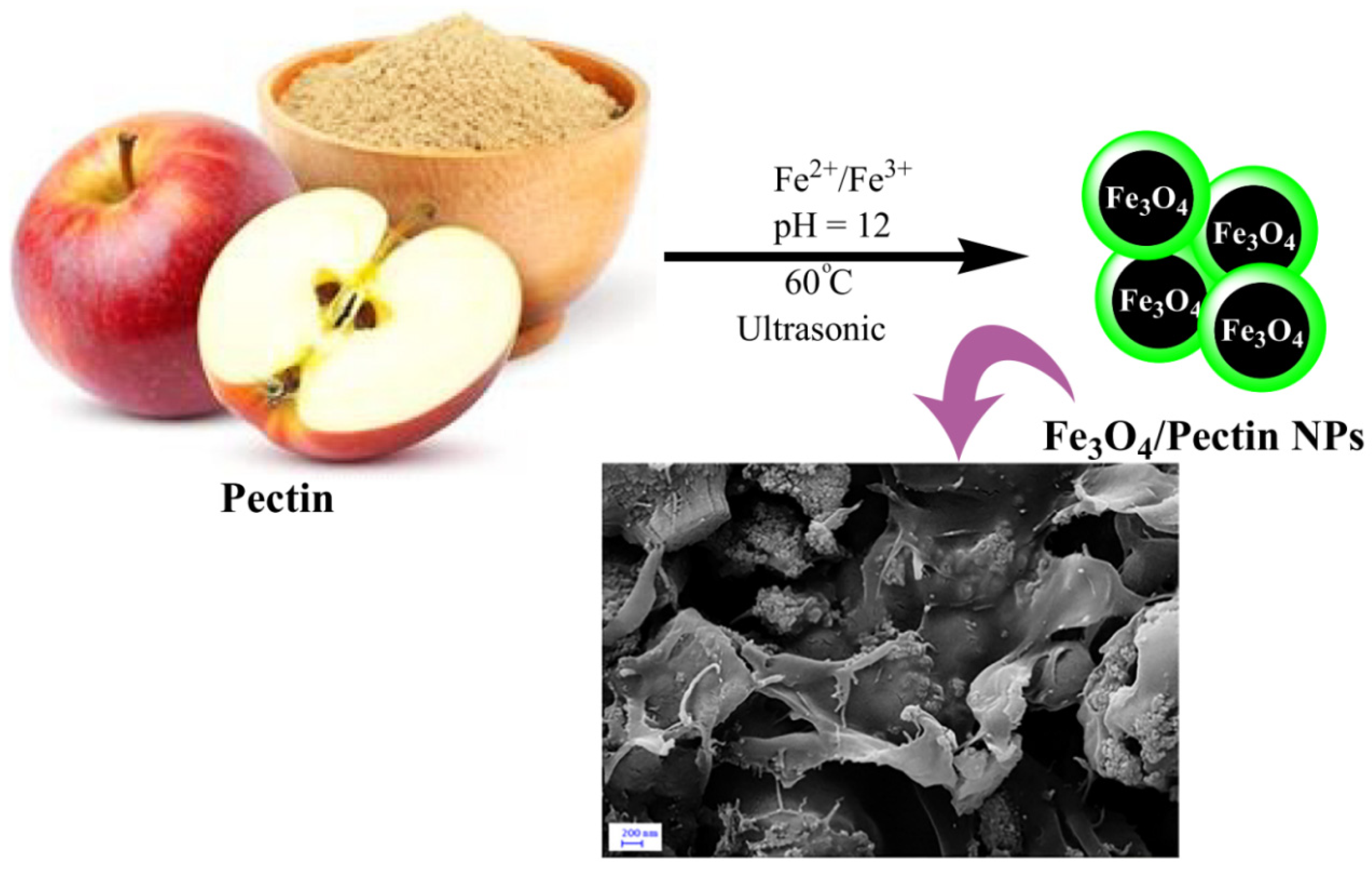 Molecules 29 04406 g013