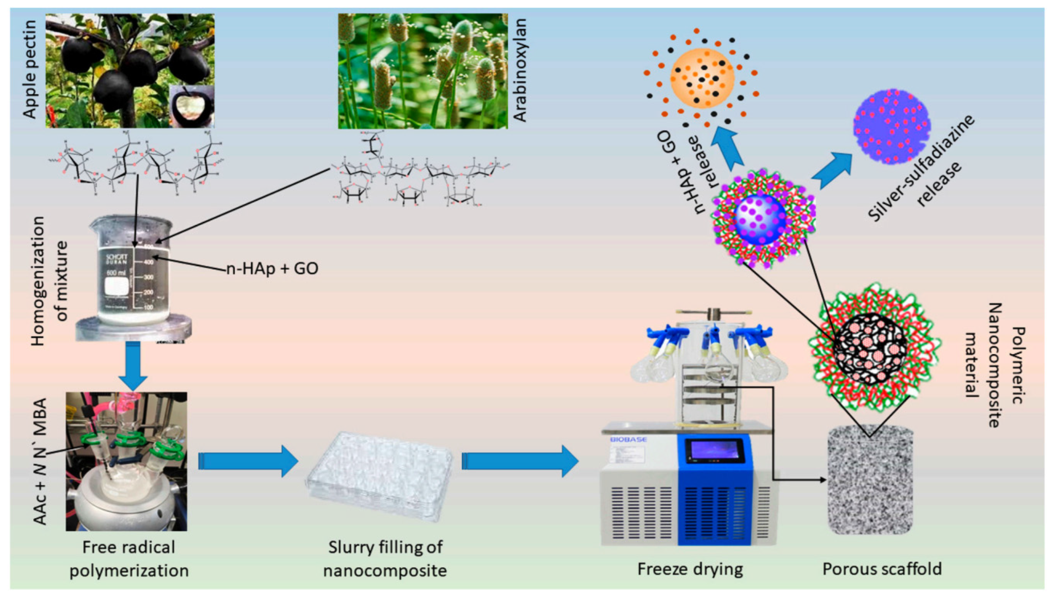 Molecules 29 04406 g014