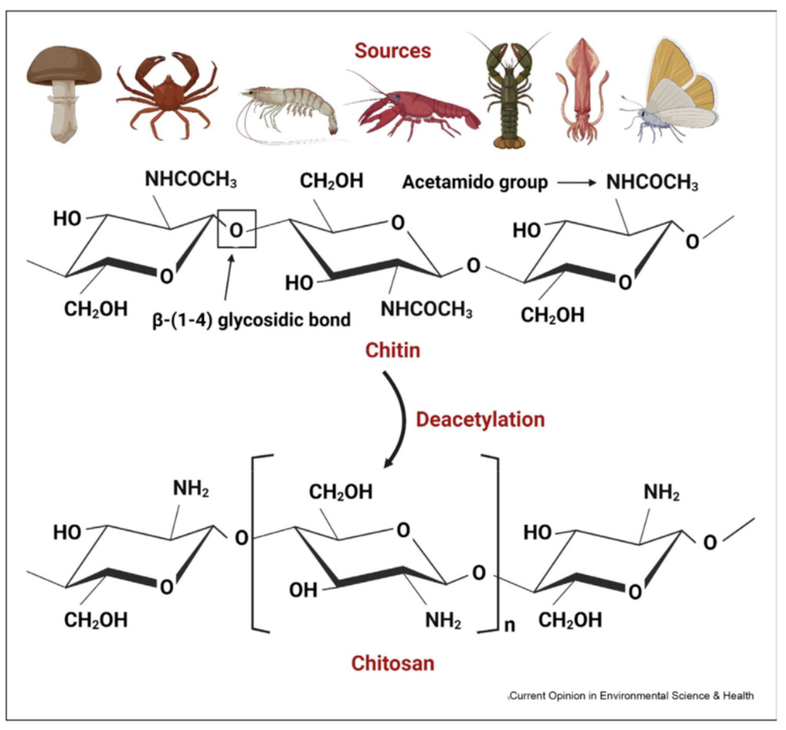 Molecules 29 04406 g015