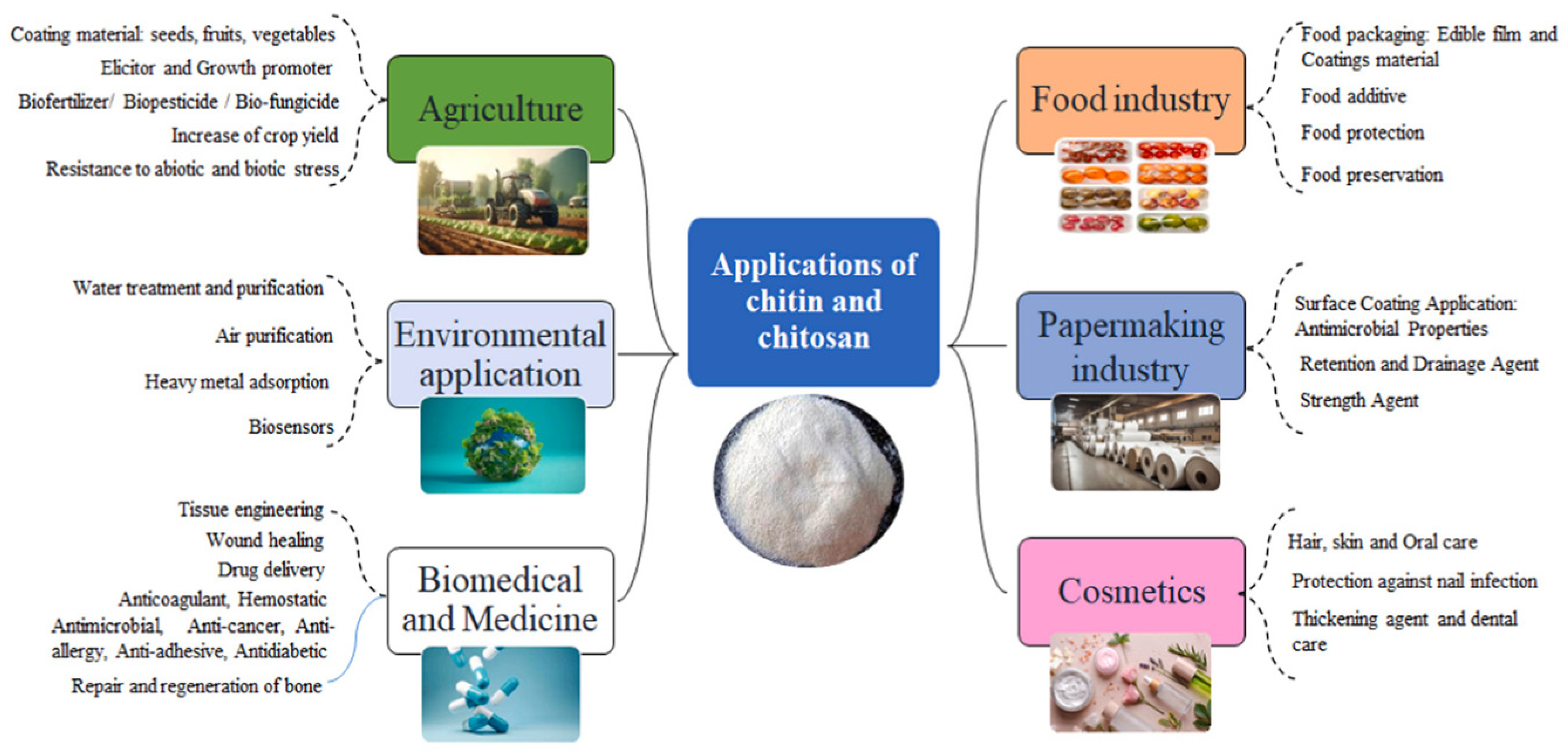 Molecules 29 04406 g016