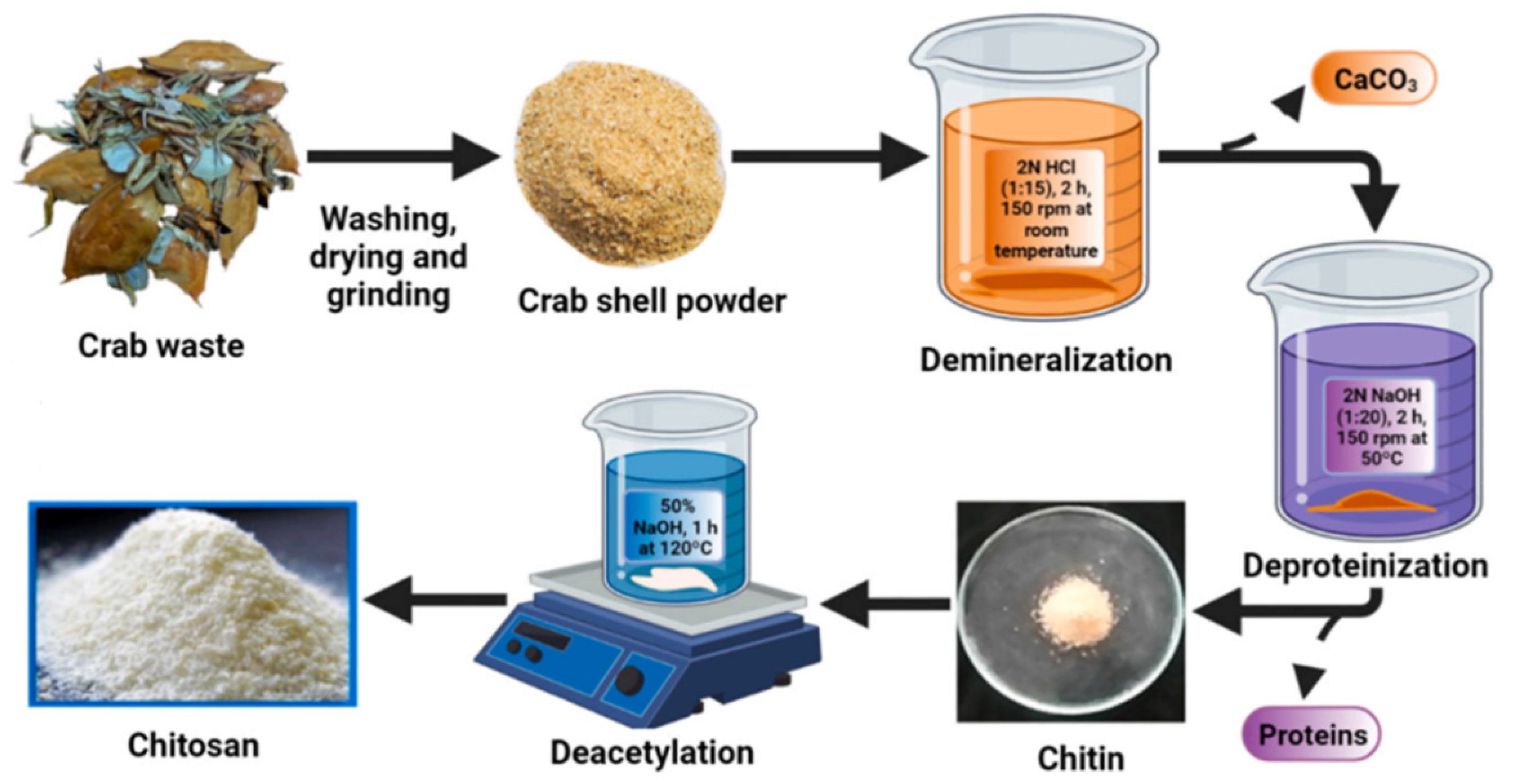 Molecules 29 04406 g017
