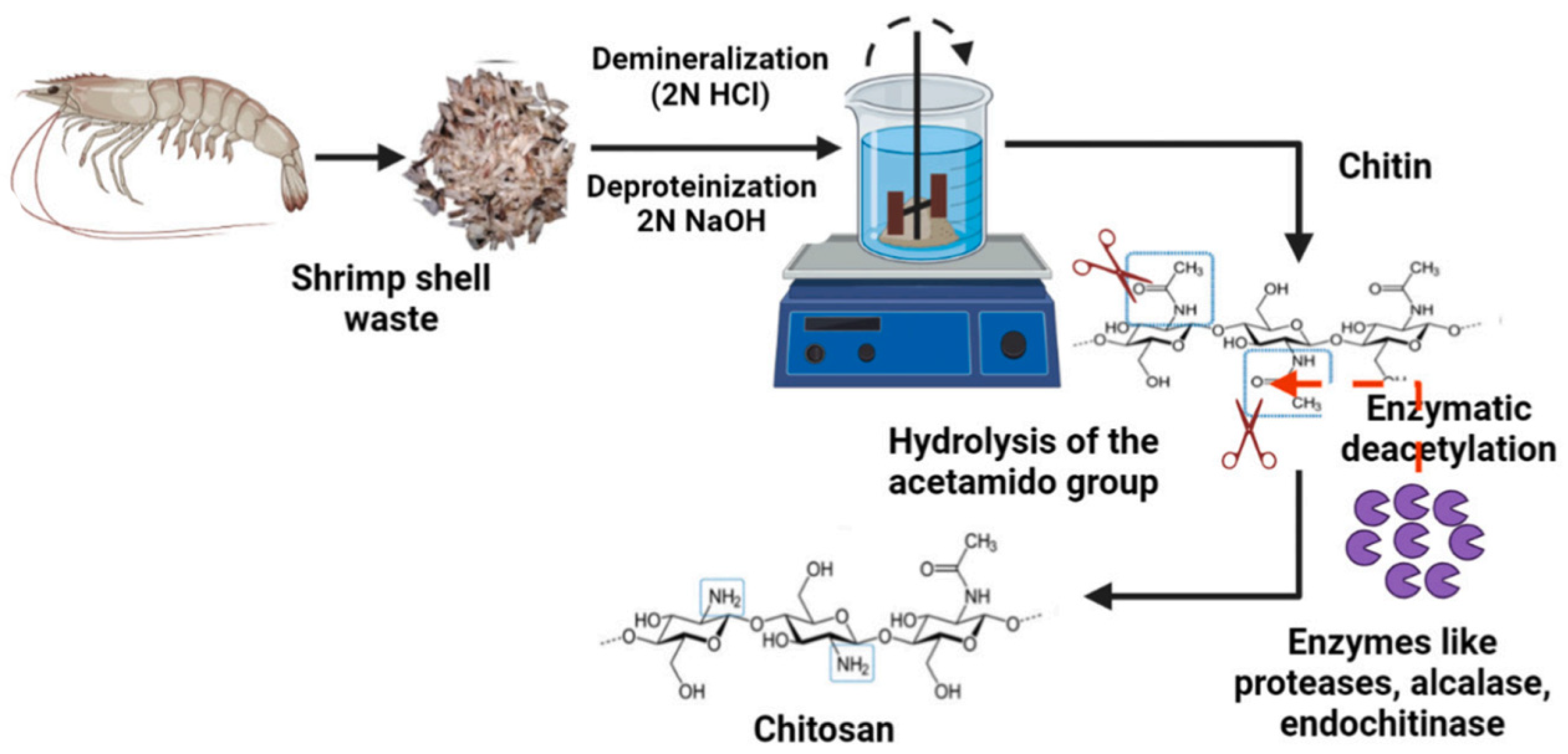 Molecules 29 04406 g018