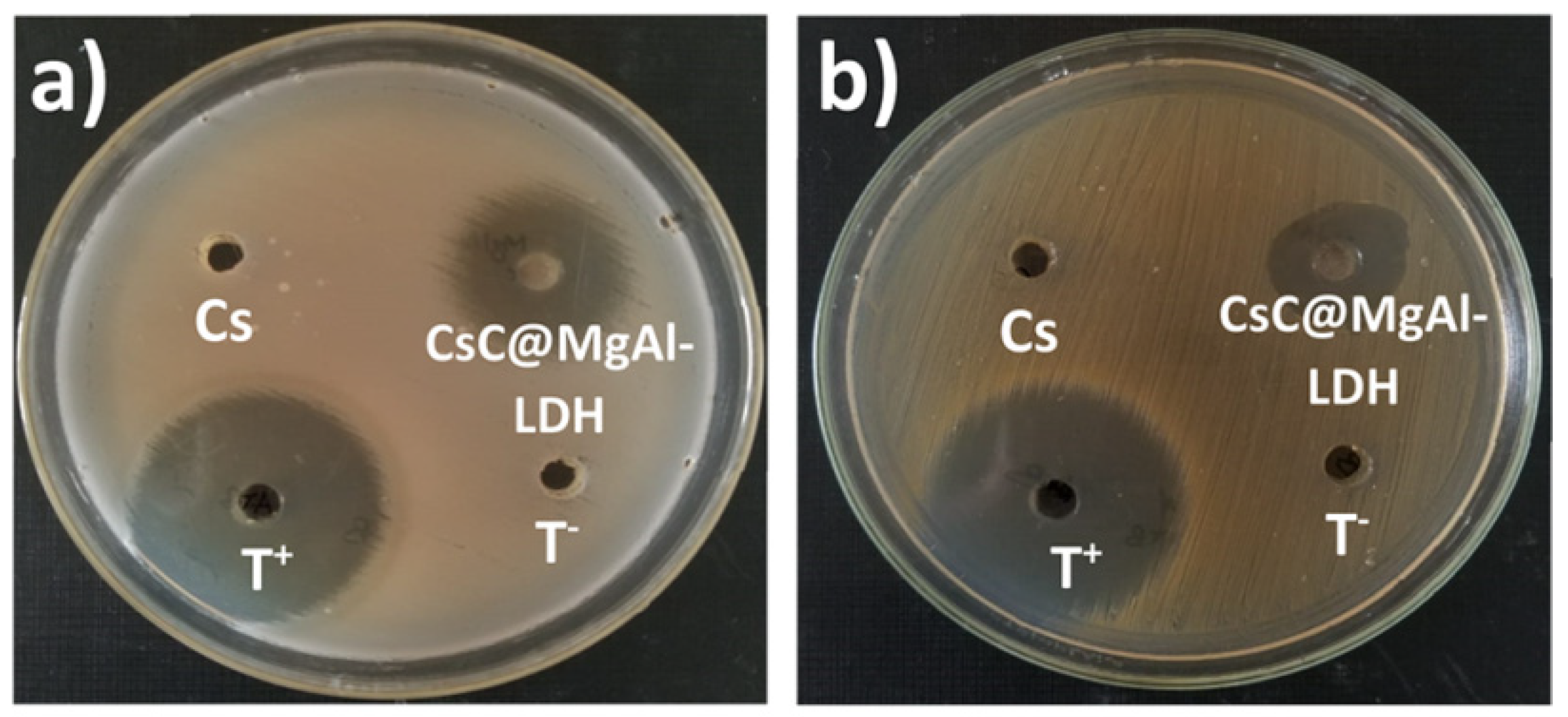 Molecules 29 04406 g022a