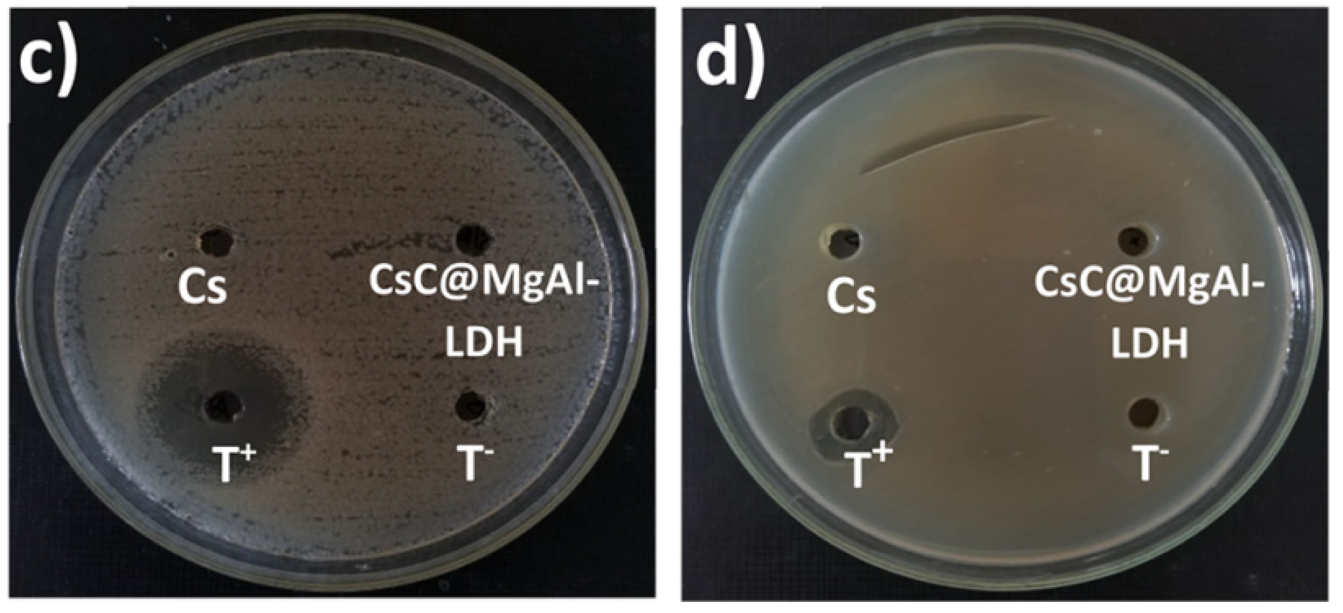 Molecules 29 04406 g022b