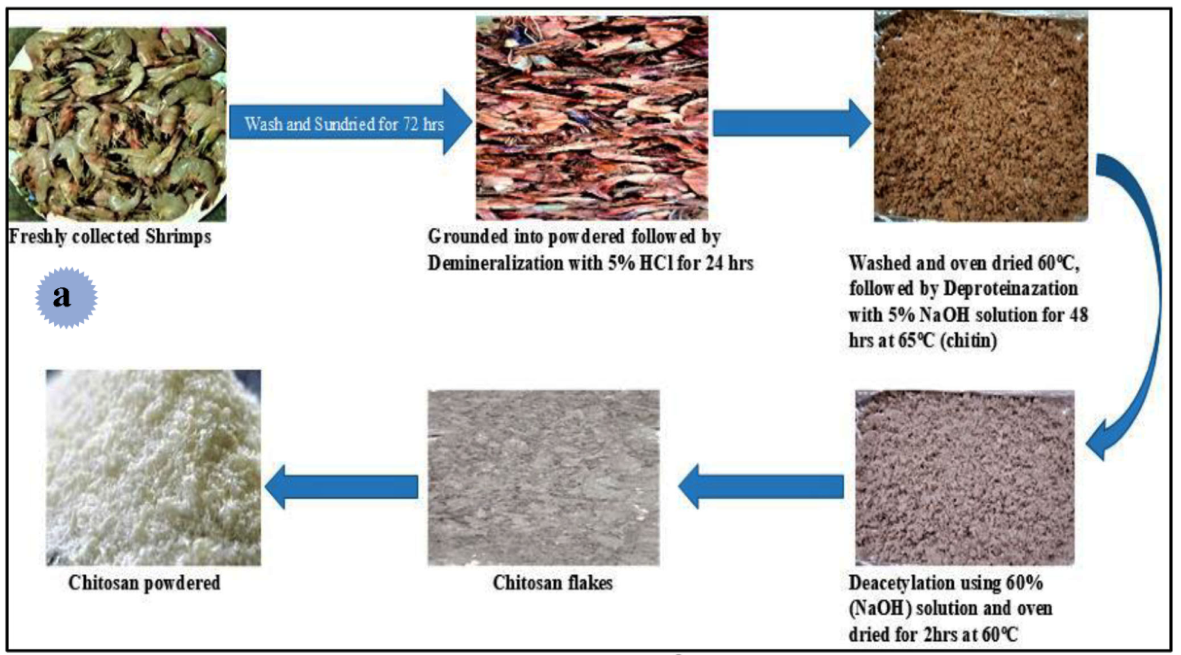 Molecules 29 04406 g023a