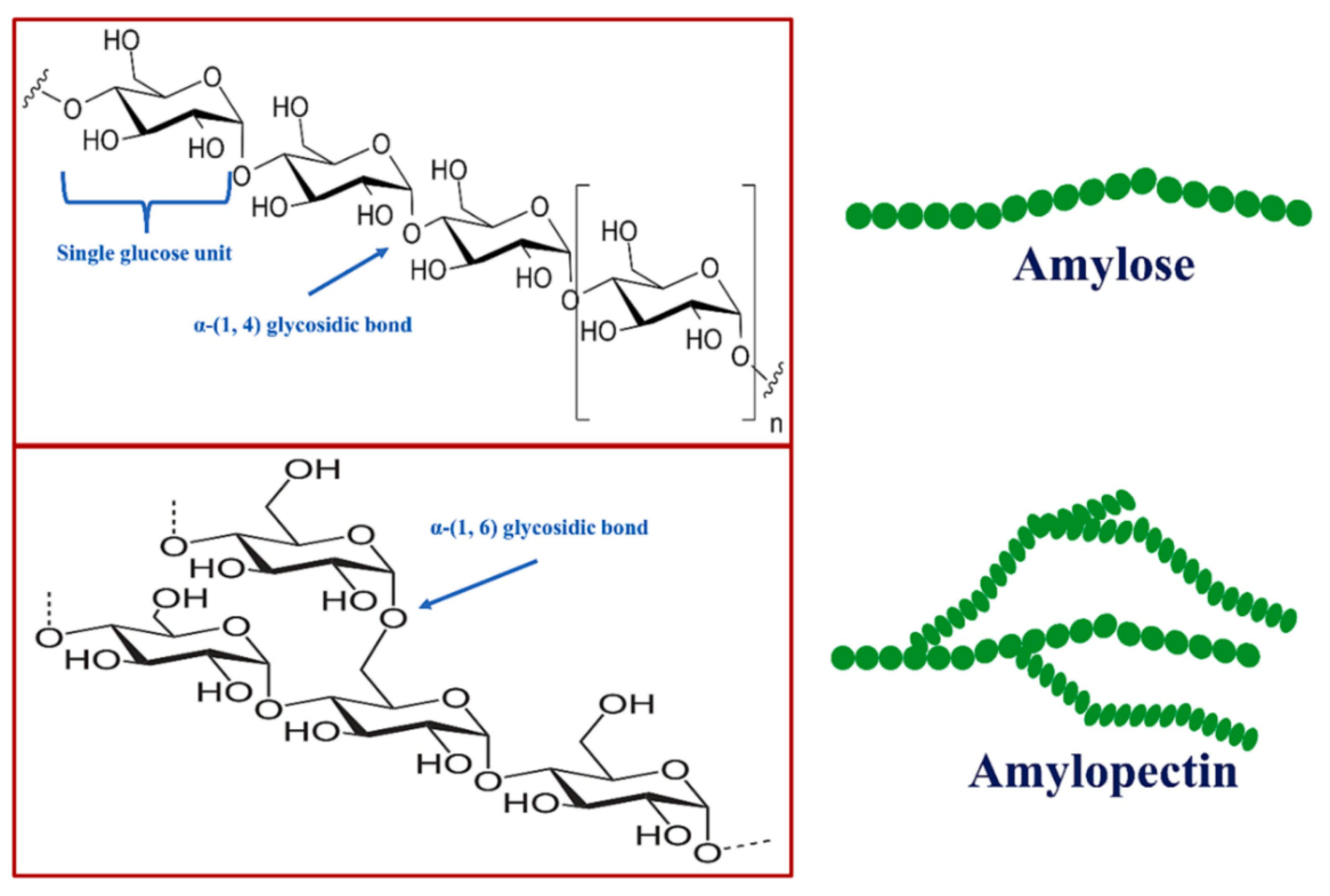 Molecules 29 04406 g024