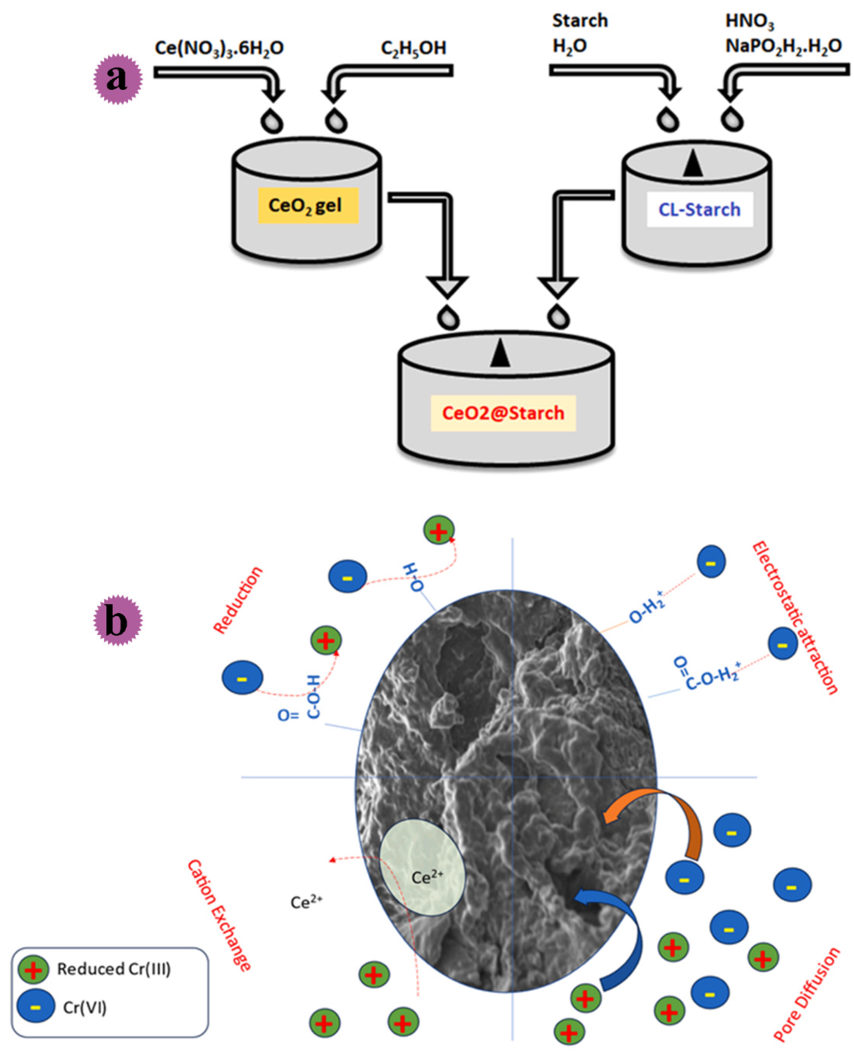 Molecules 29 04406 g026