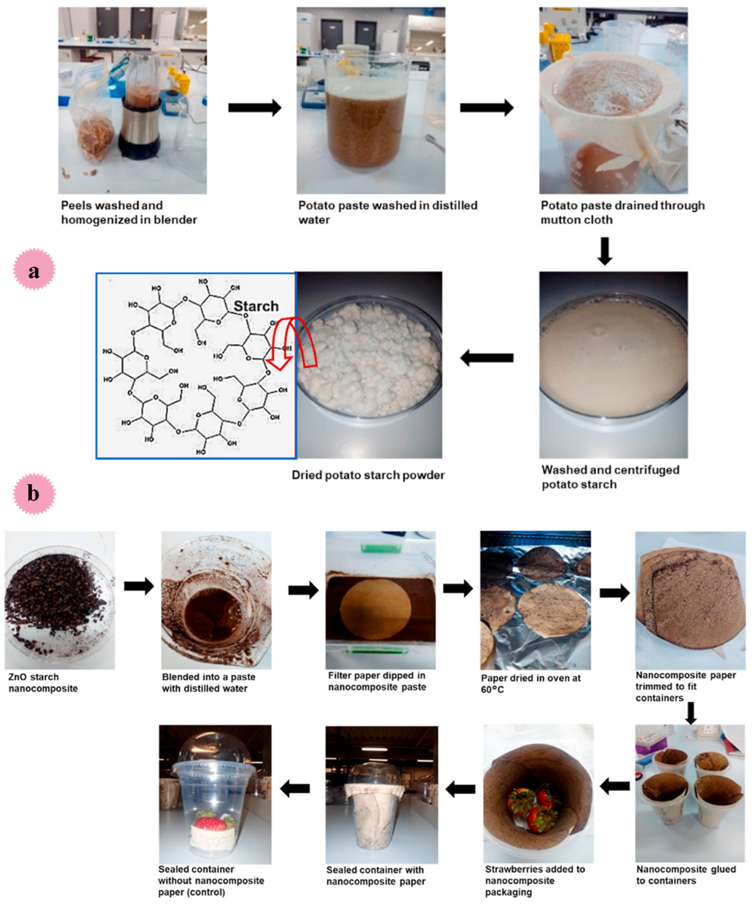 Molecules 29 04406 g027