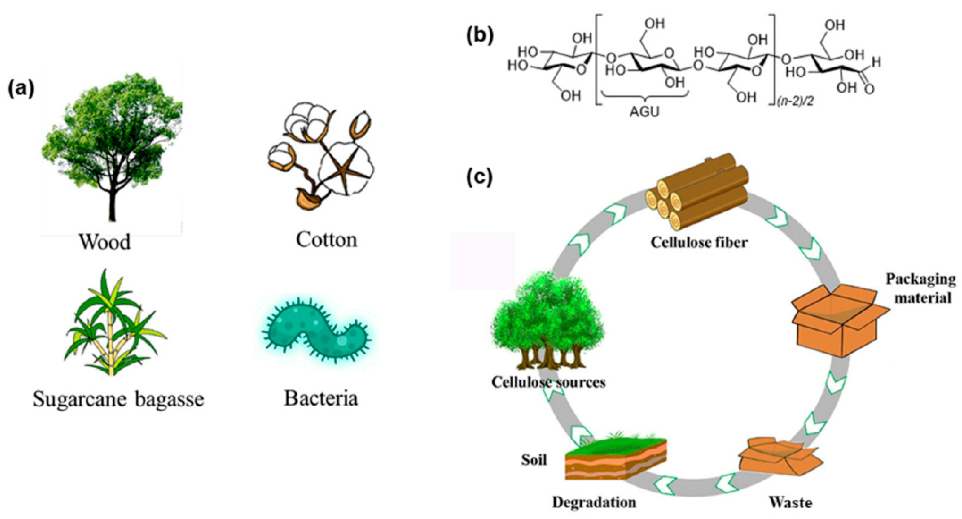 Molecules 29 04406 g028