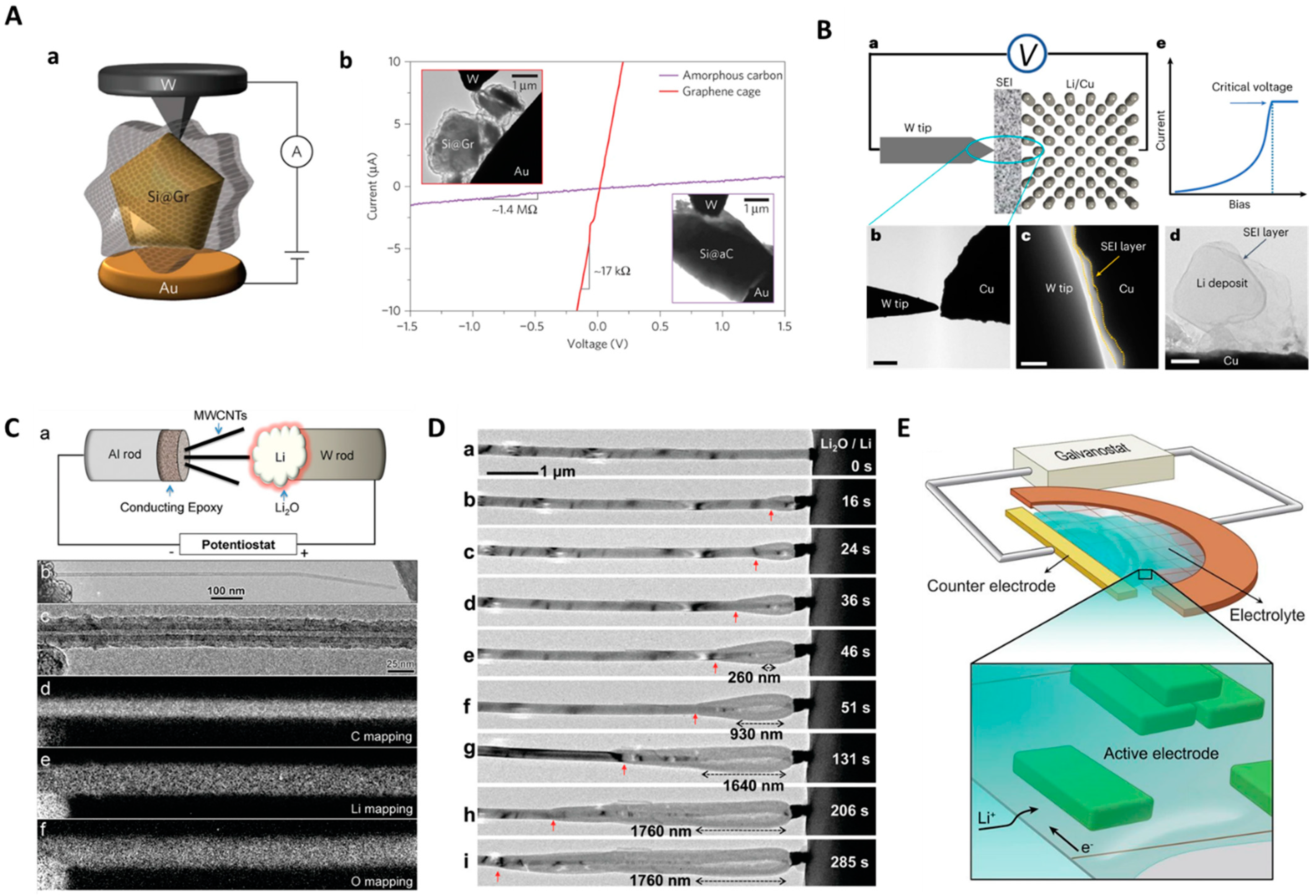 Molecules 29 04411 g001 Molecules 29 04411 g001