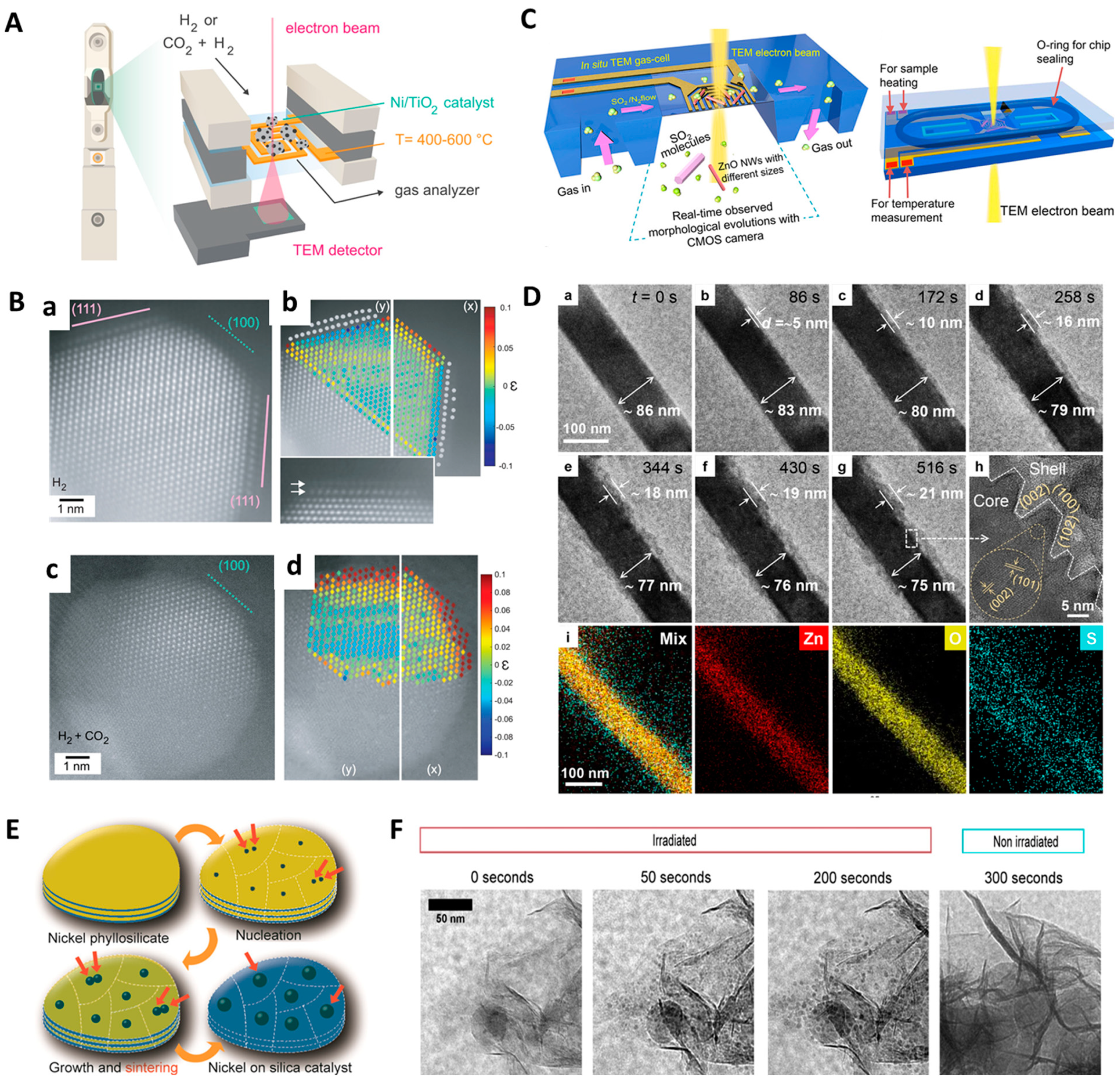 Molecules 29 04411 g003 Molecules 29 04411 g003