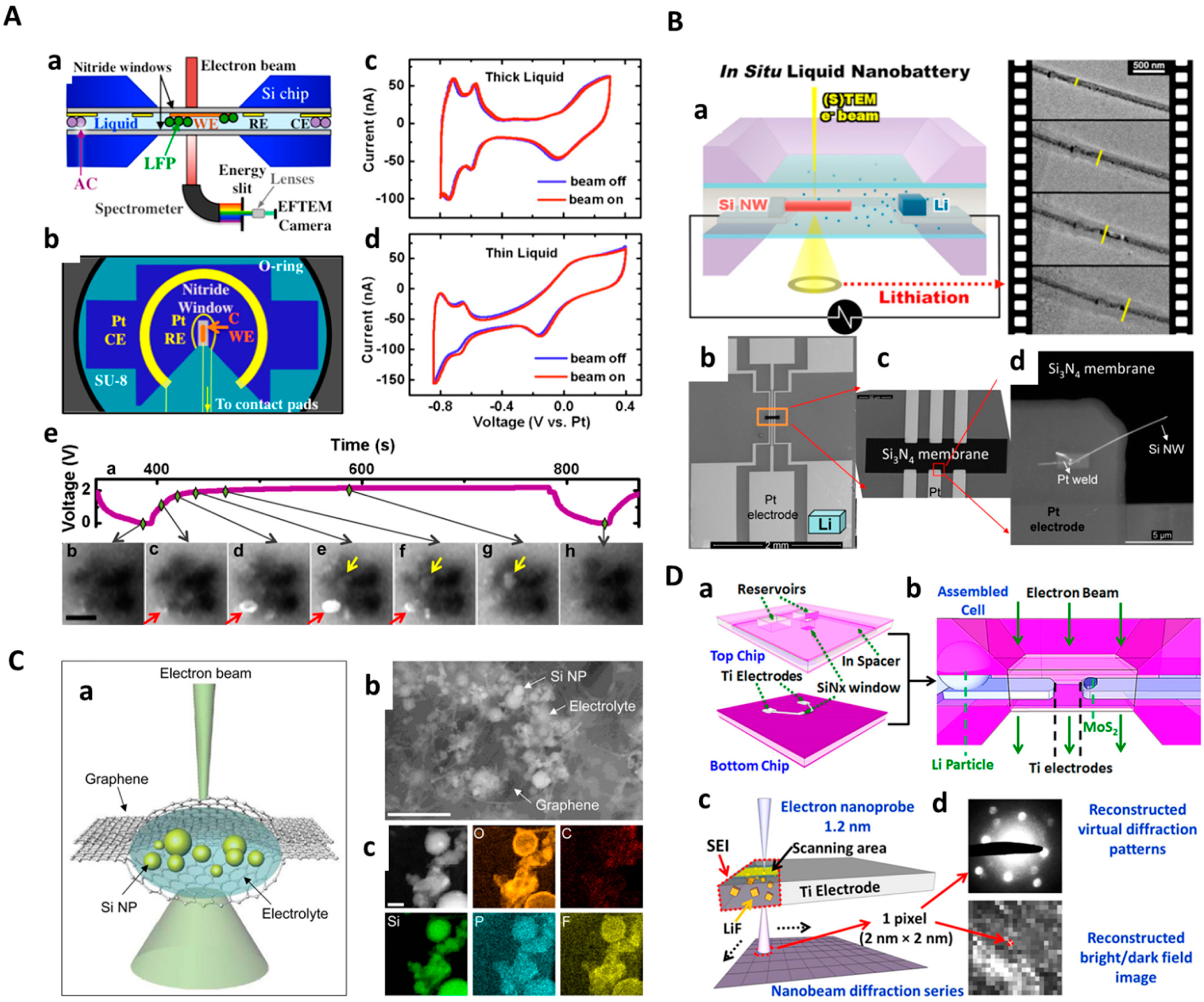 Molecules 29 04411 g004 Molecules 29 04411 g004