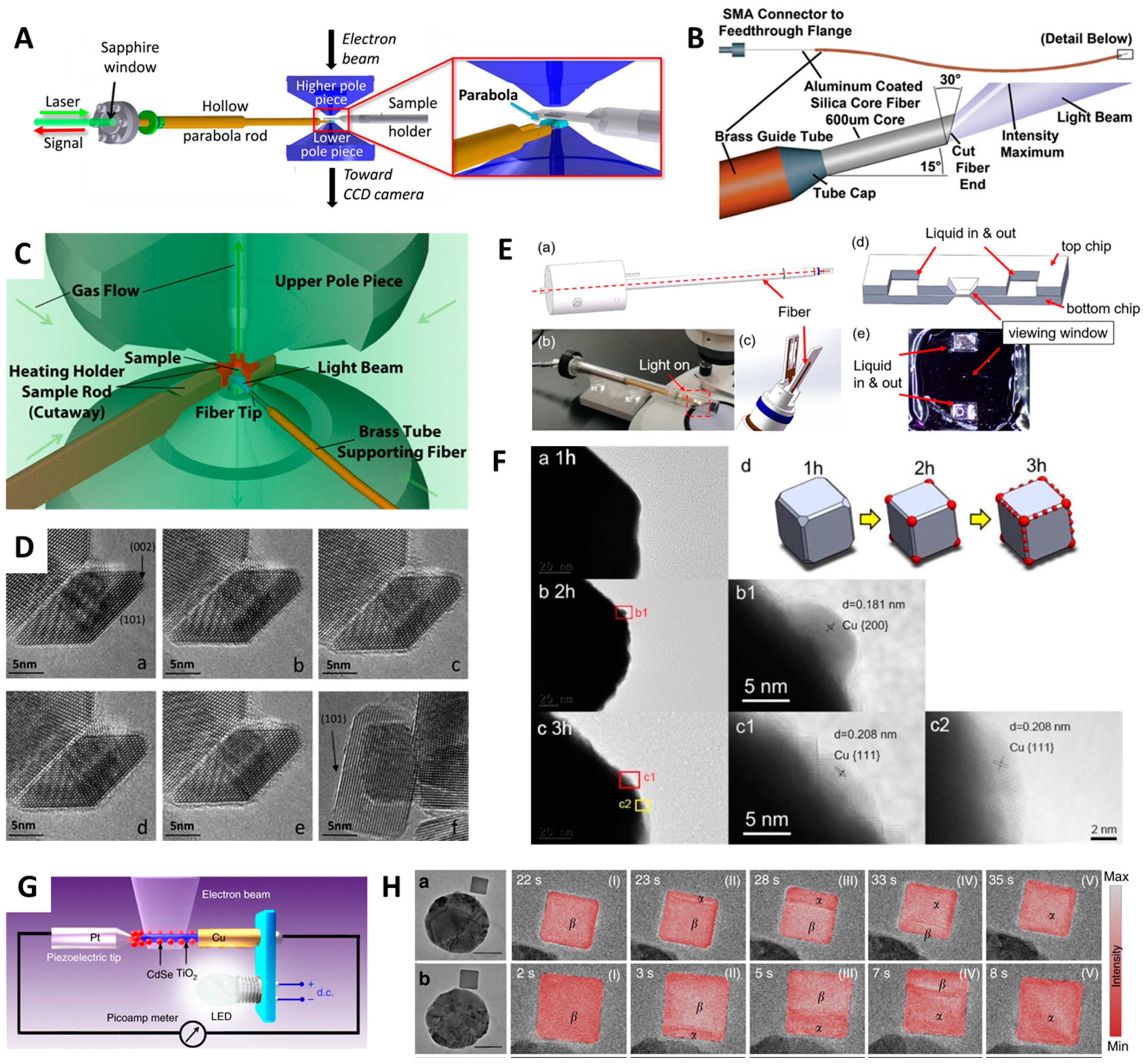 Molecules 29 04411 g005 Molecules 29 04411 g005