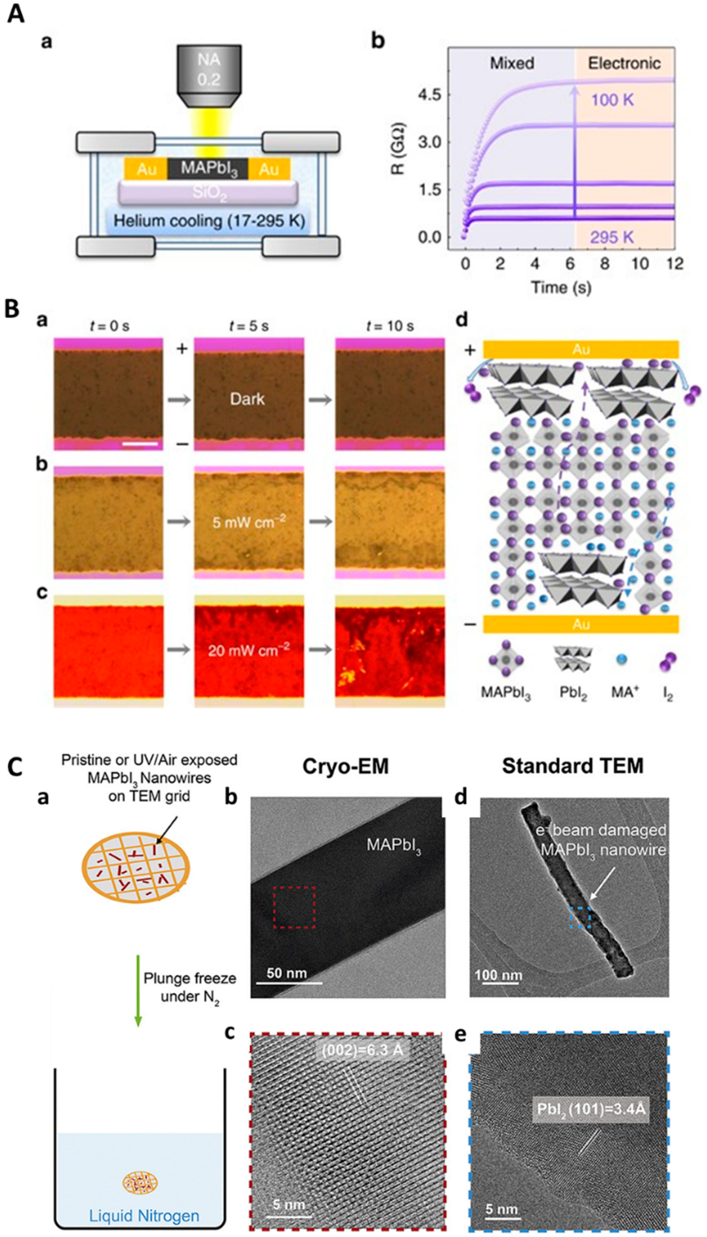 Molecules 29 04411 g008 Molecules 29 04411 g008