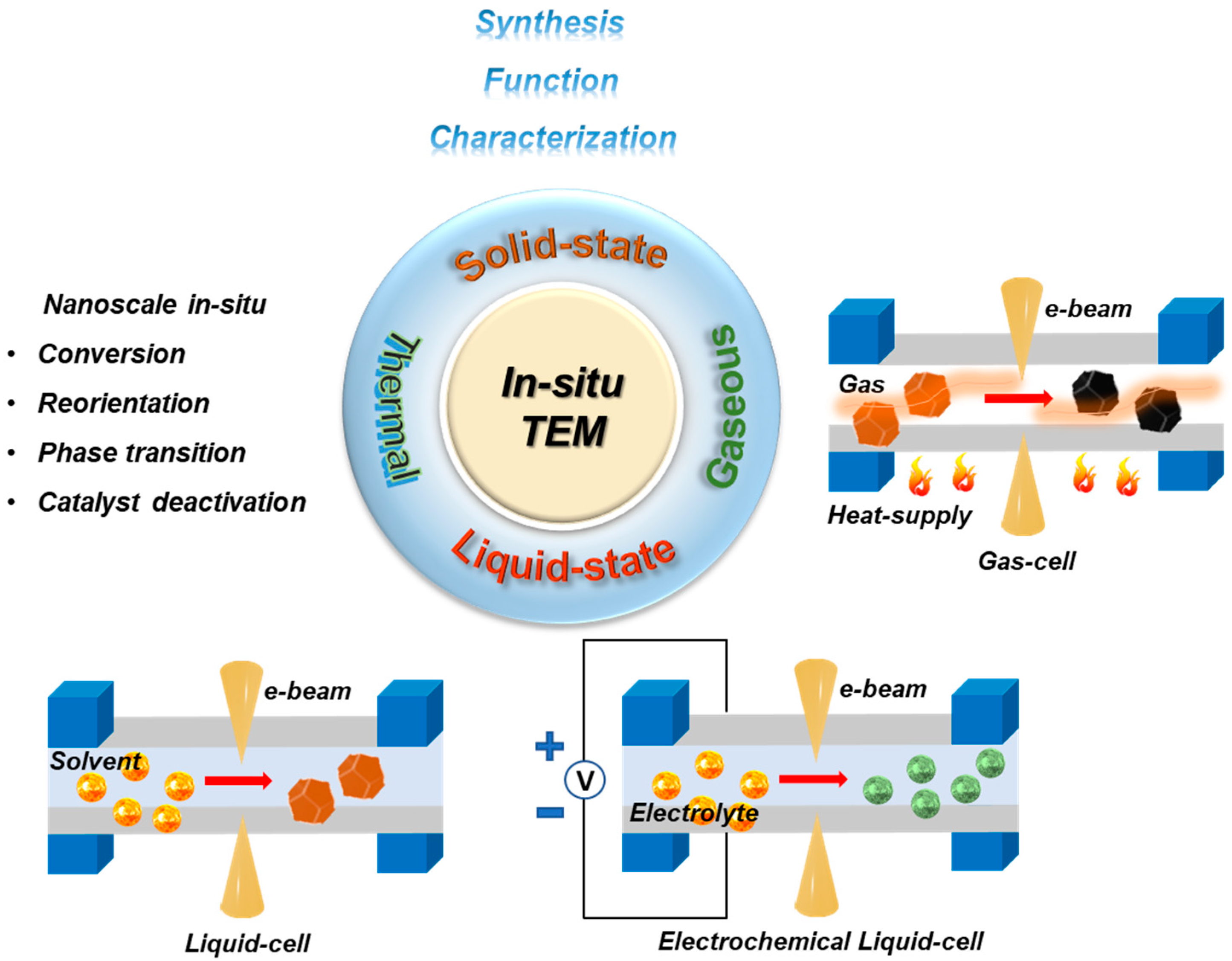 Molecules 29 04411 sch001 Molecules 29 04411 sch001