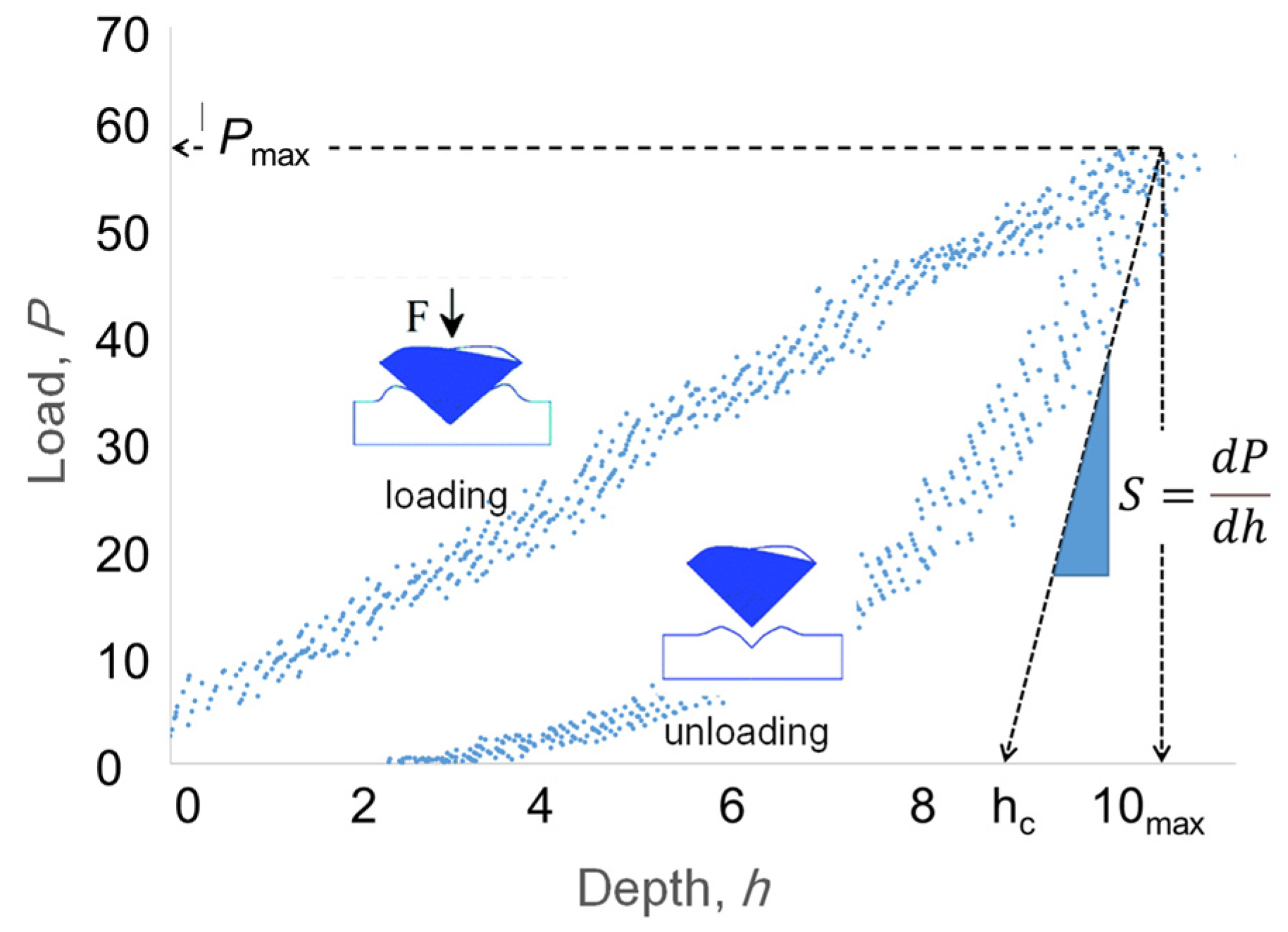 Molecules 29 04413 g007