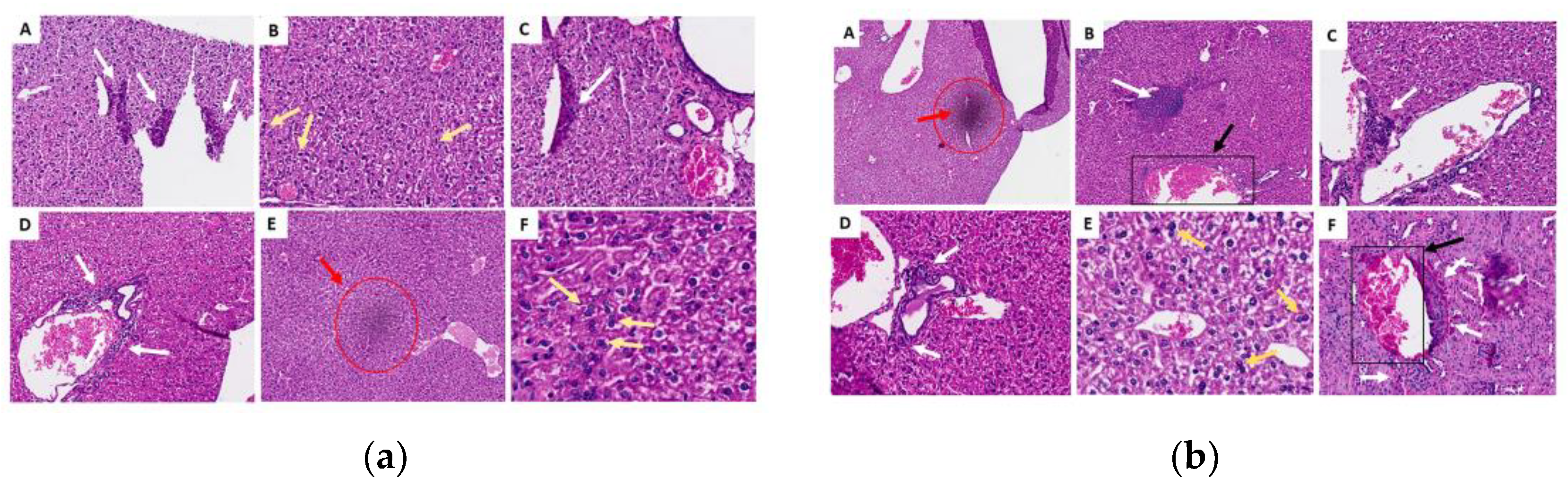 Molecules 29 04417 g009