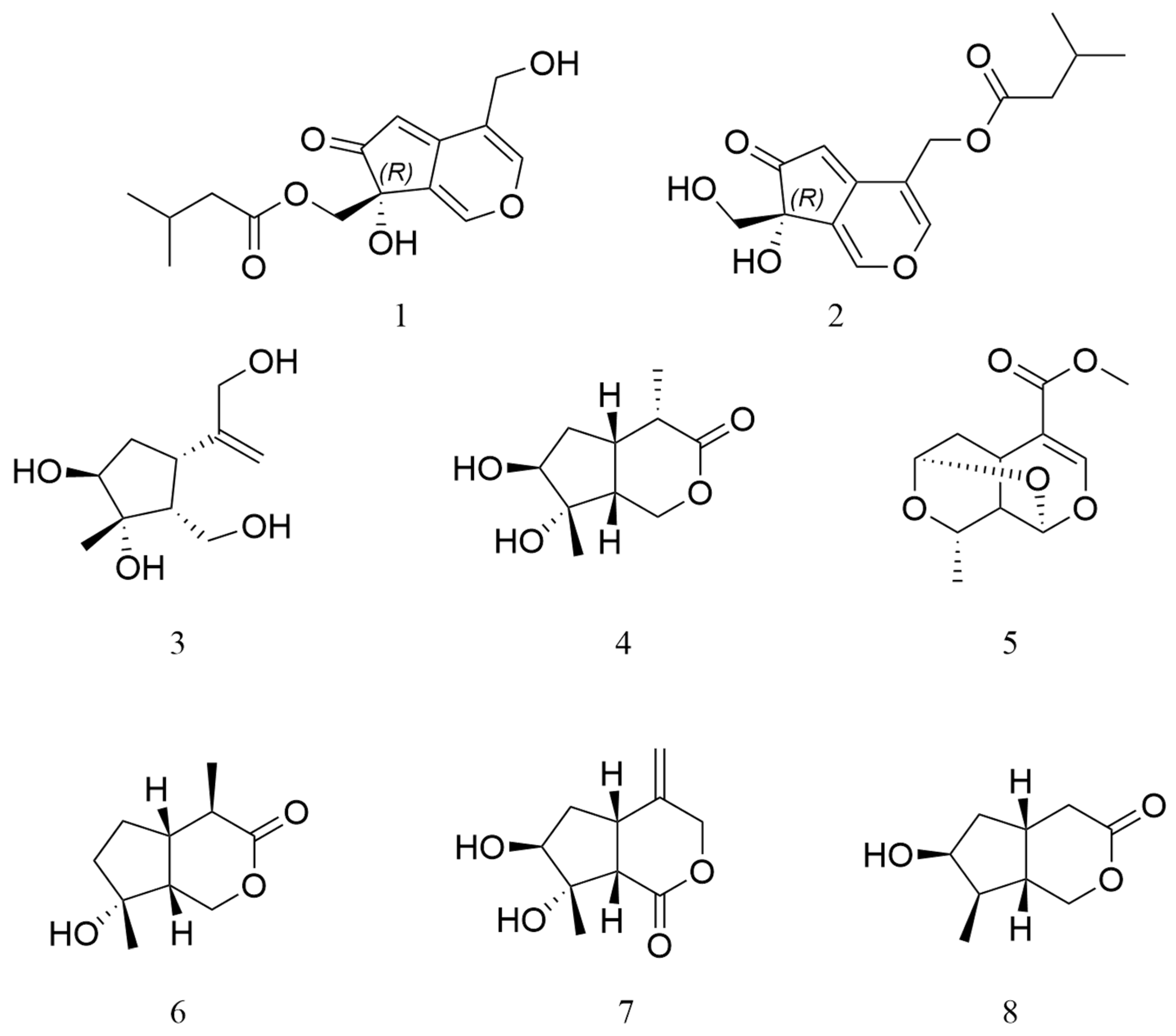 Molecules 29 04419 g001
