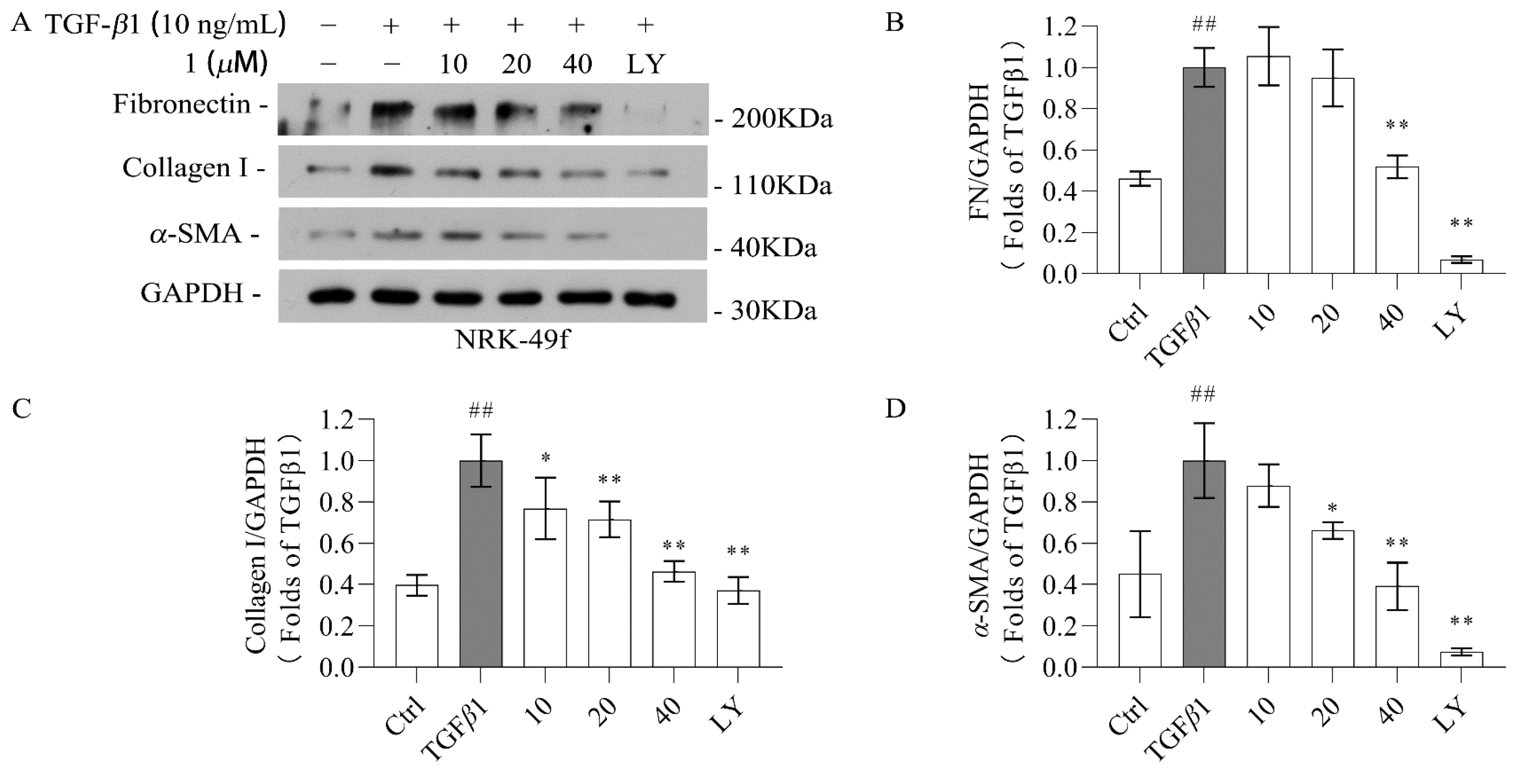 Molecules 29 04419 g005