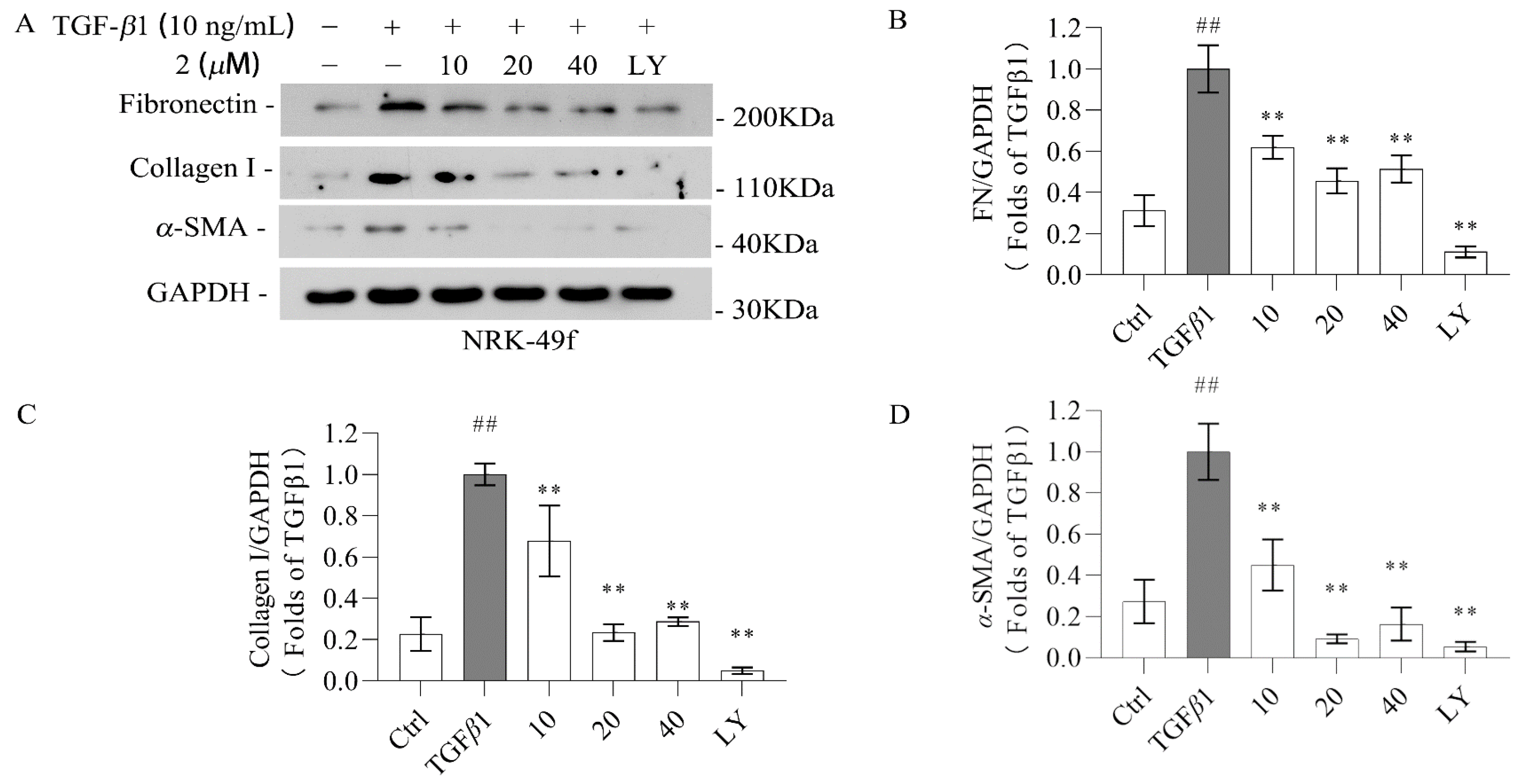 Molecules 29 04419 g006
