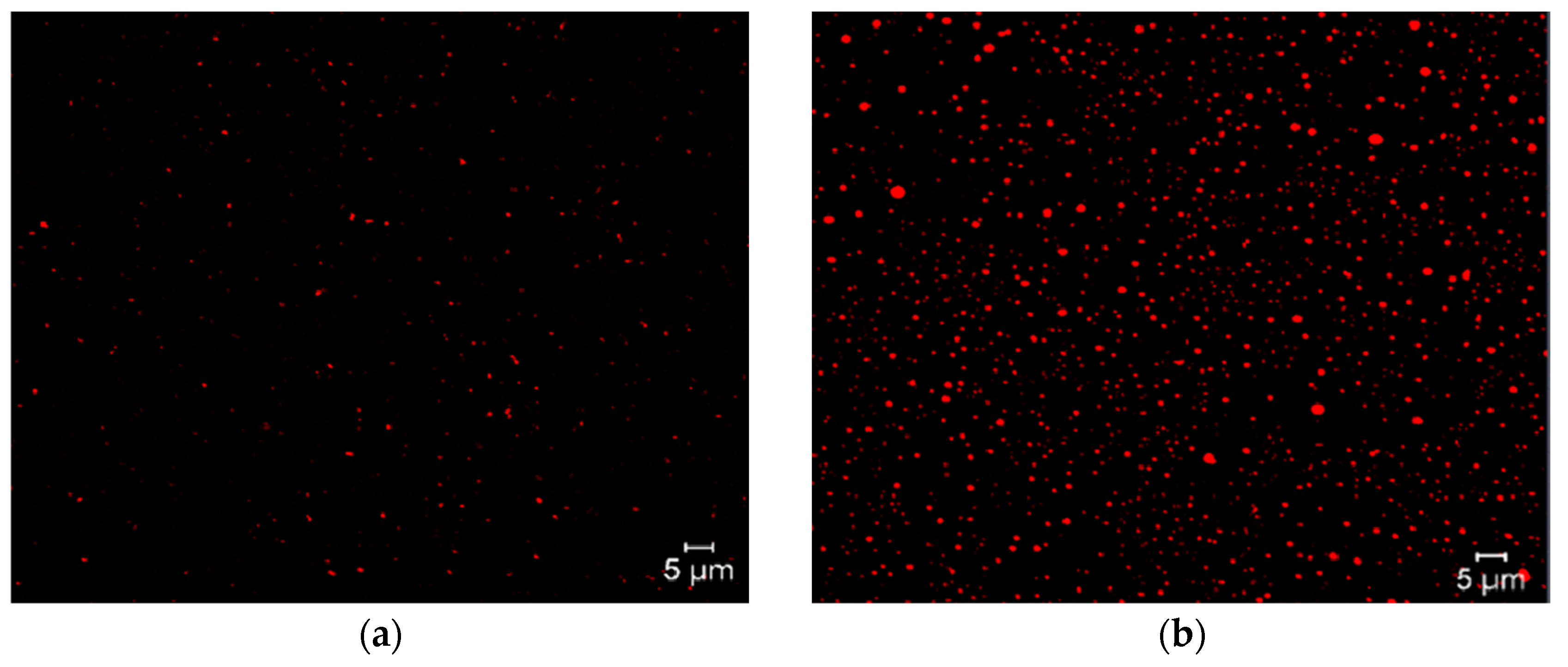 Molecules 29 04421 g006