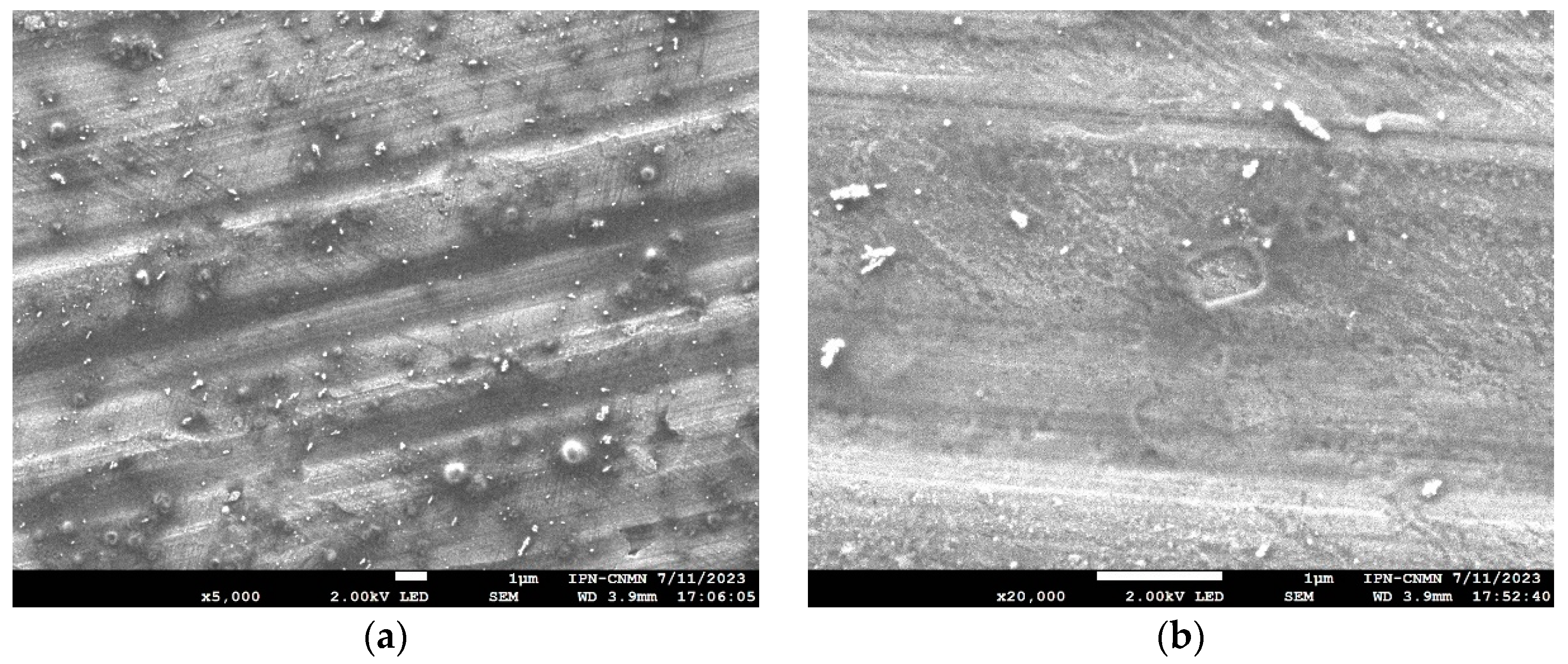 Molecules 29 04421 g007