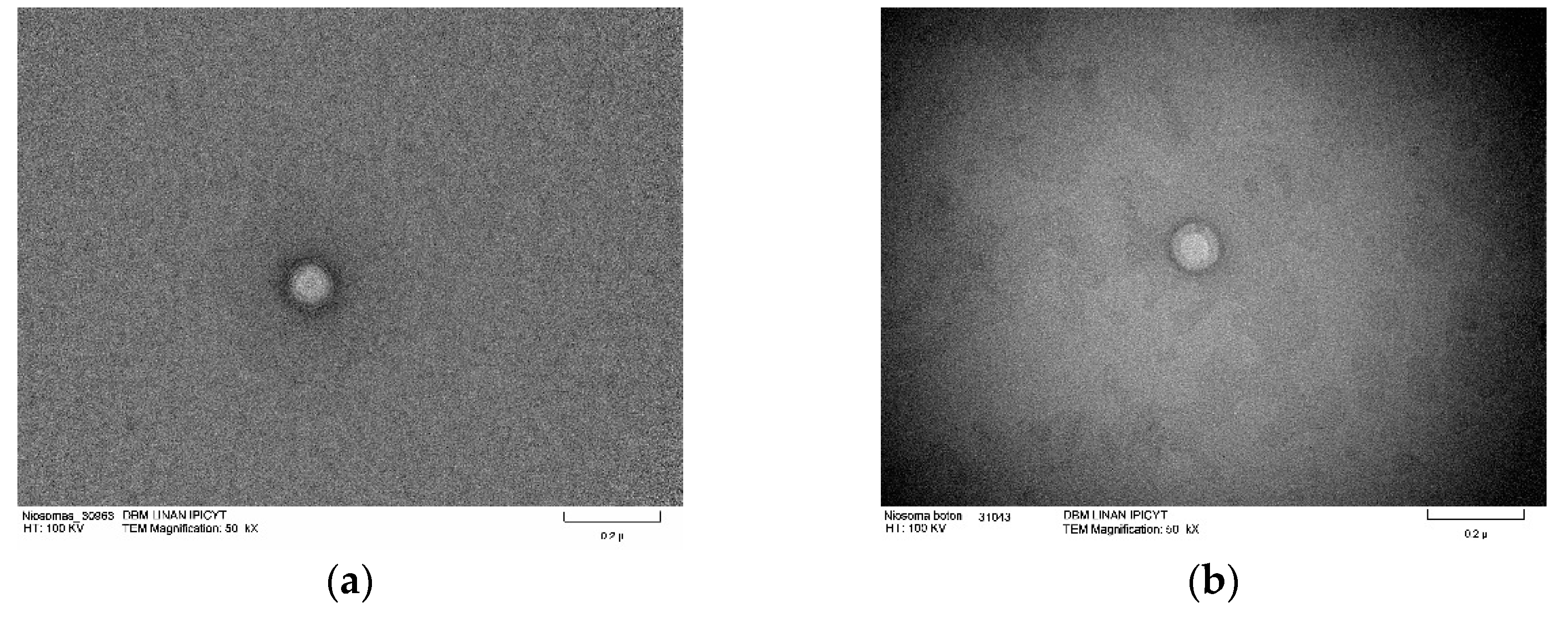 Molecules 29 04421 g008a