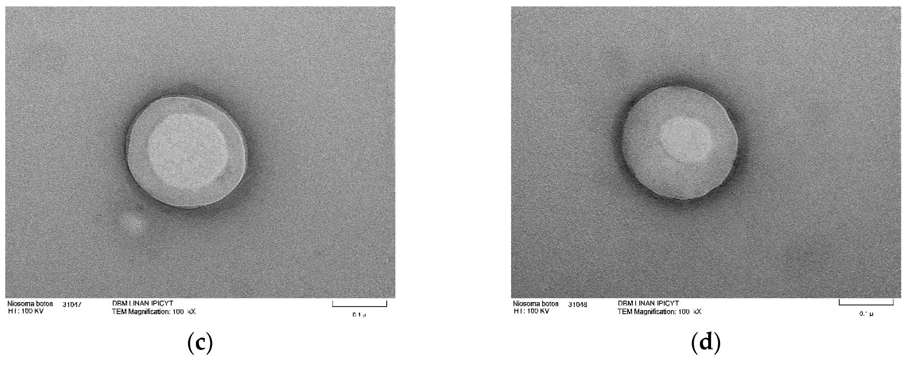 Molecules 29 04421 g008b