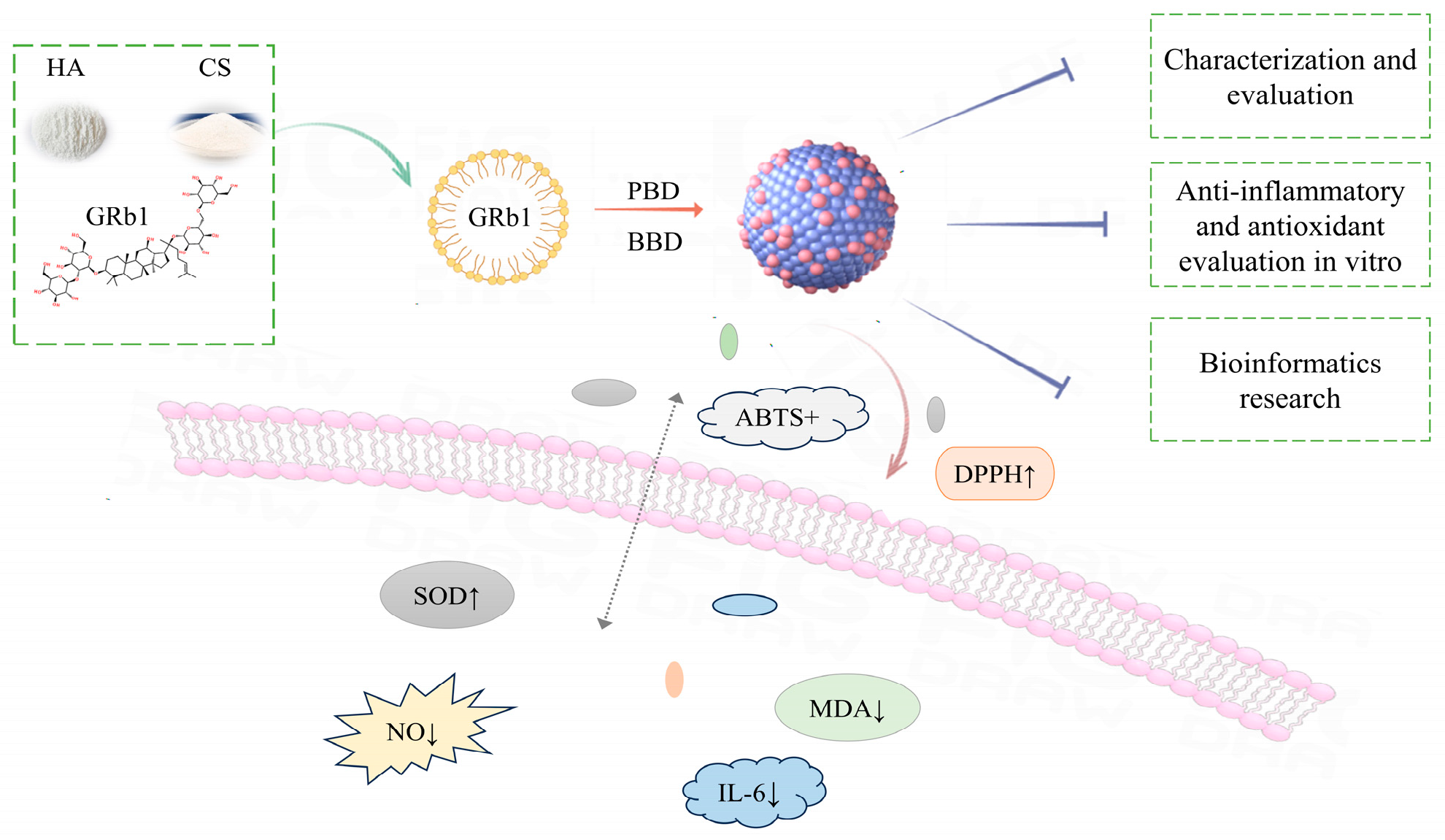 Molecules 29 04425 g001