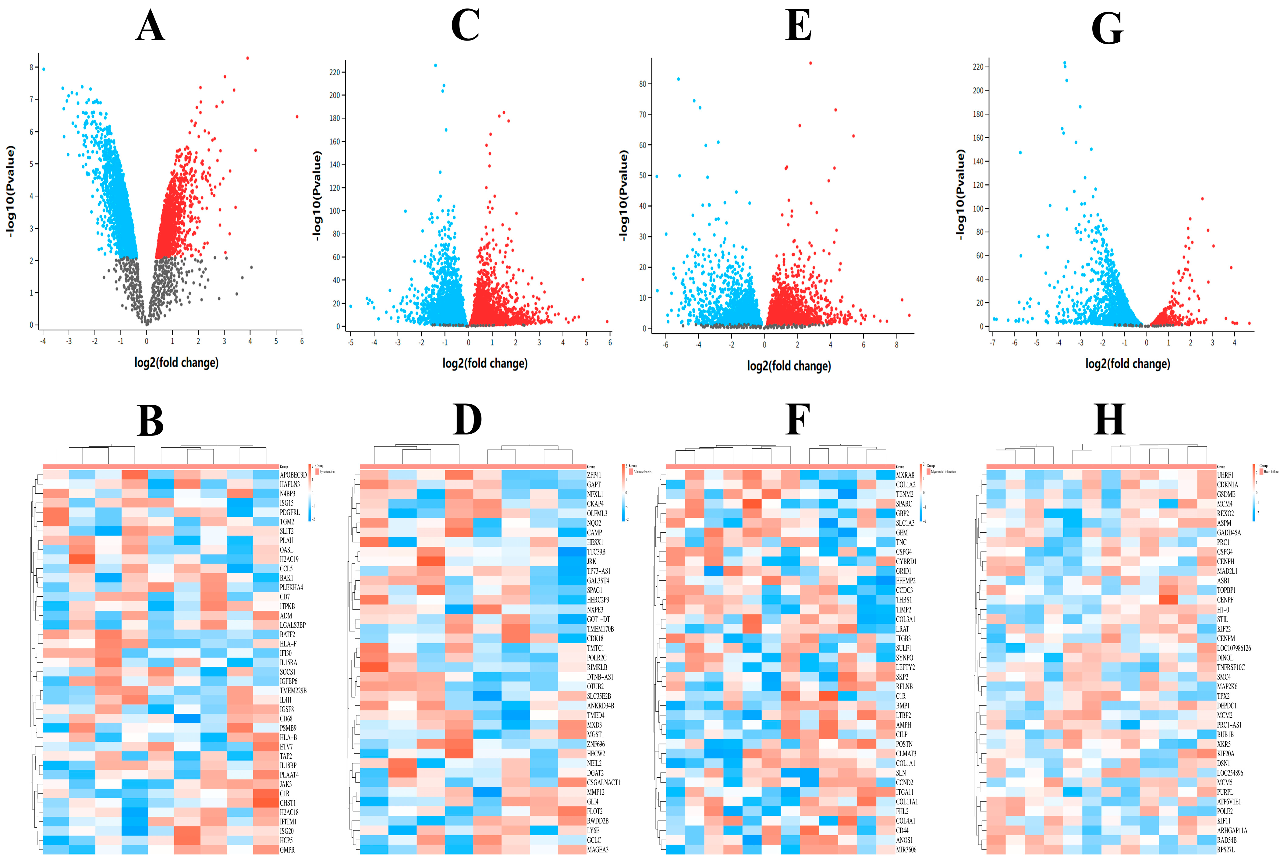 Molecules 29 04425 g010