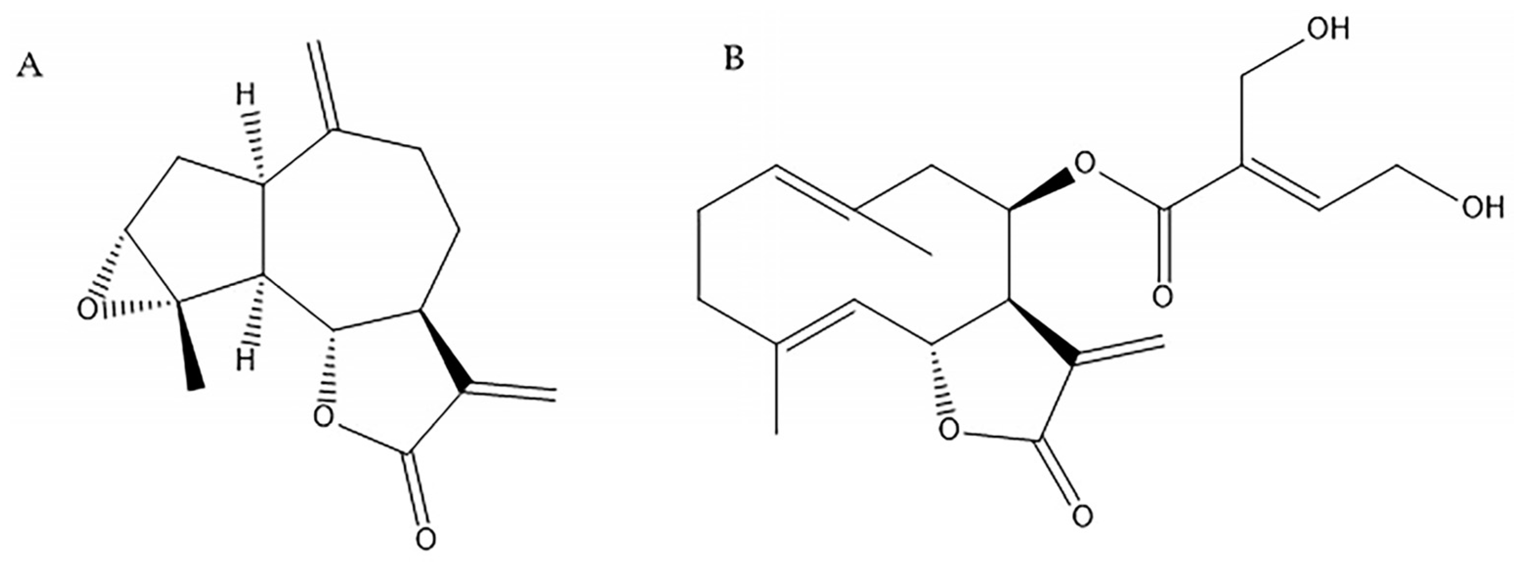 Molecules 29 04430 g002