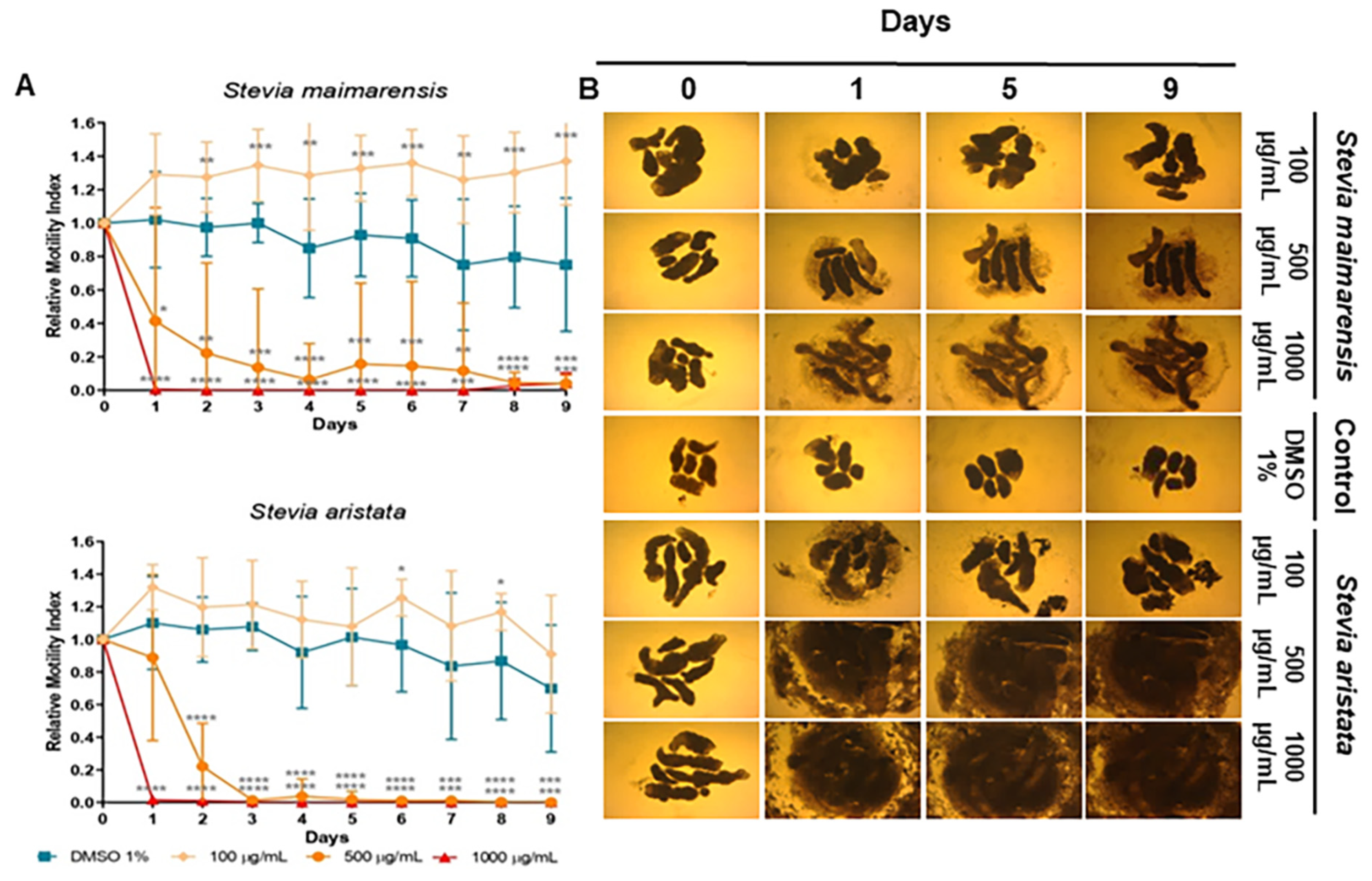 Molecules 29 04430 g004
