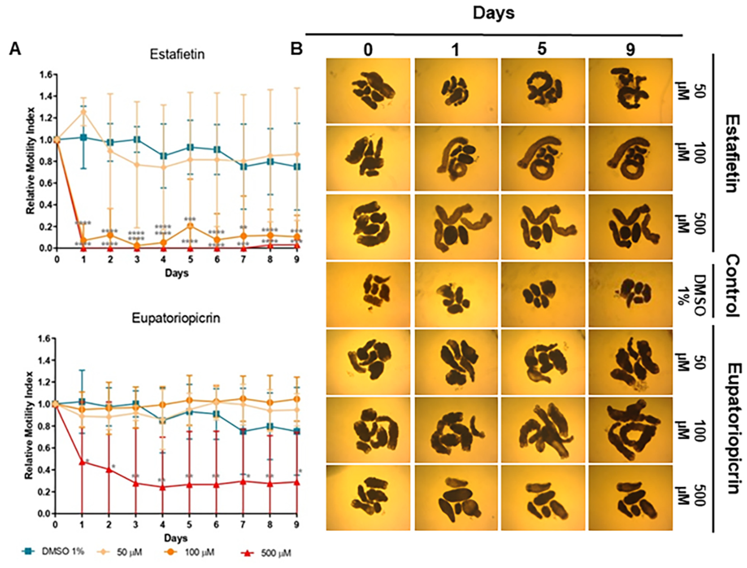 Molecules 29 04430 g005