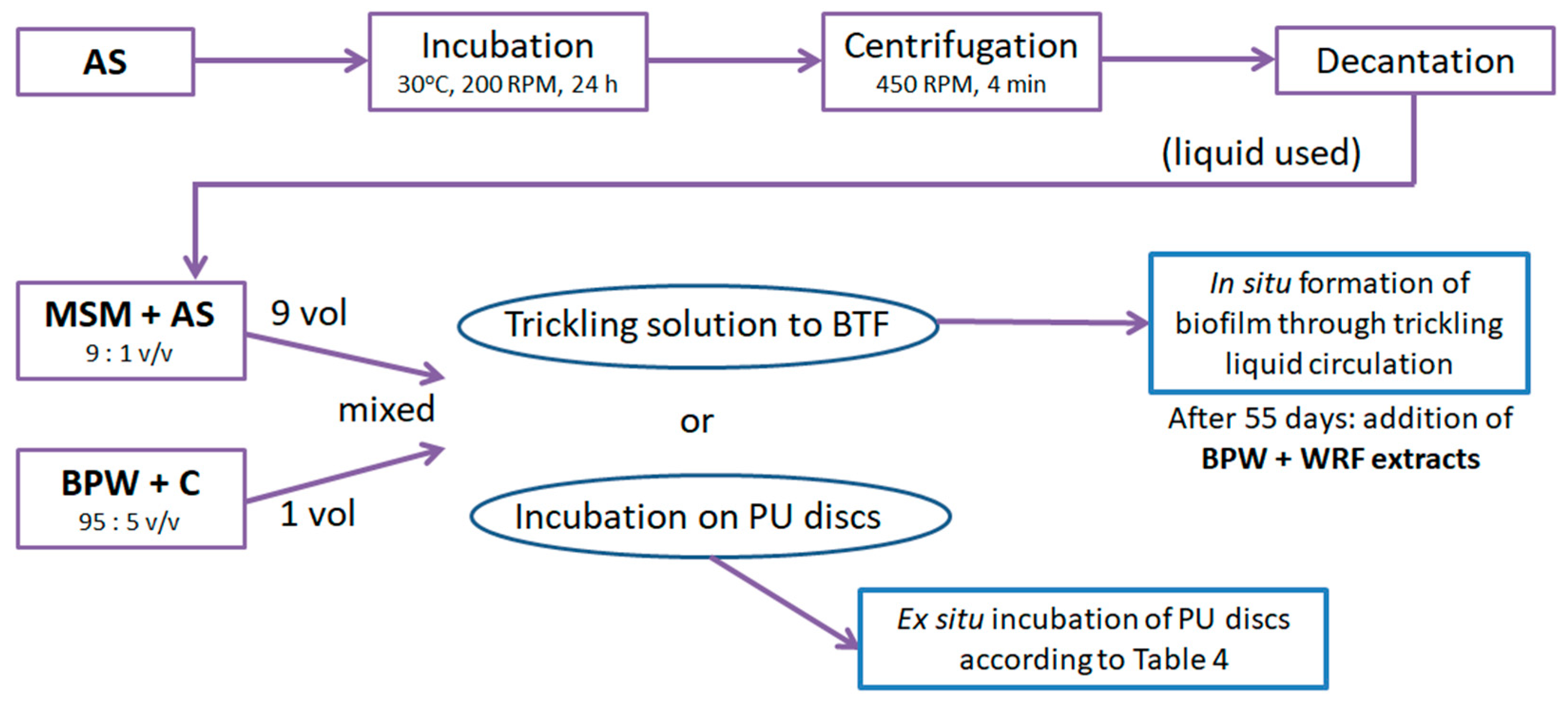 Molecules 29 04431 g010