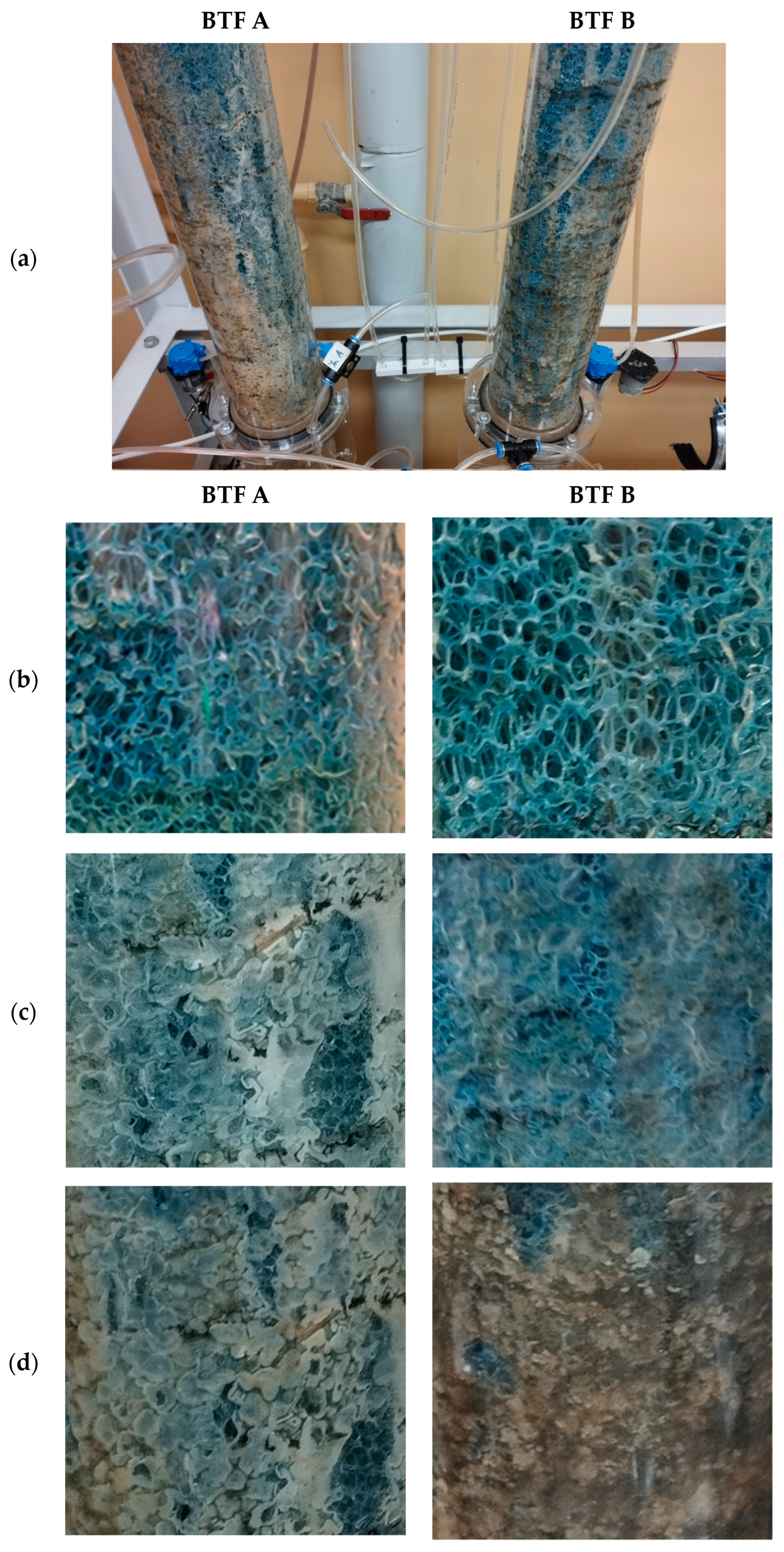 Molecules 29 04431 g0a1a