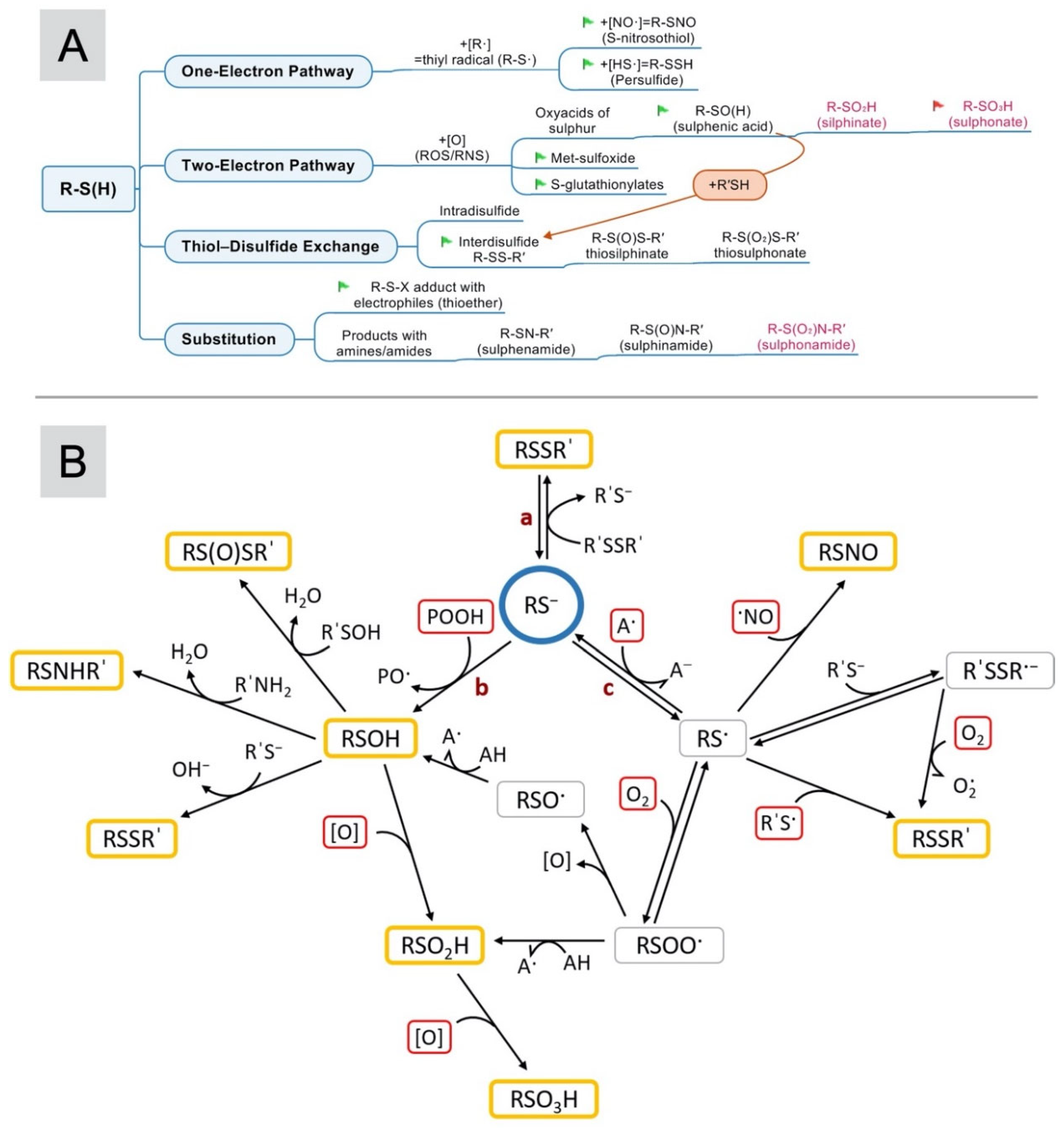 Molecules 29 04433 g001