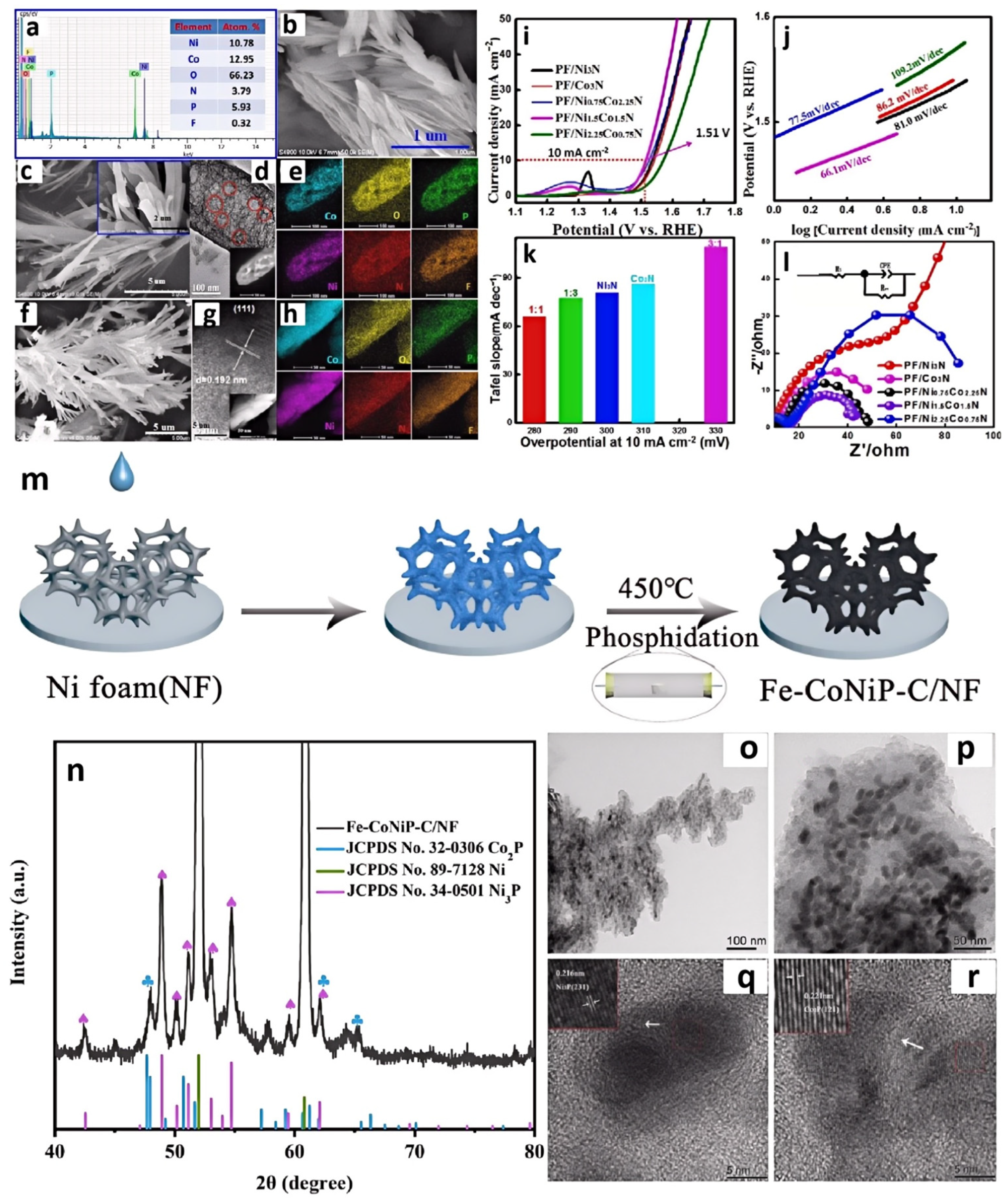 Molecules 29 04435 g006