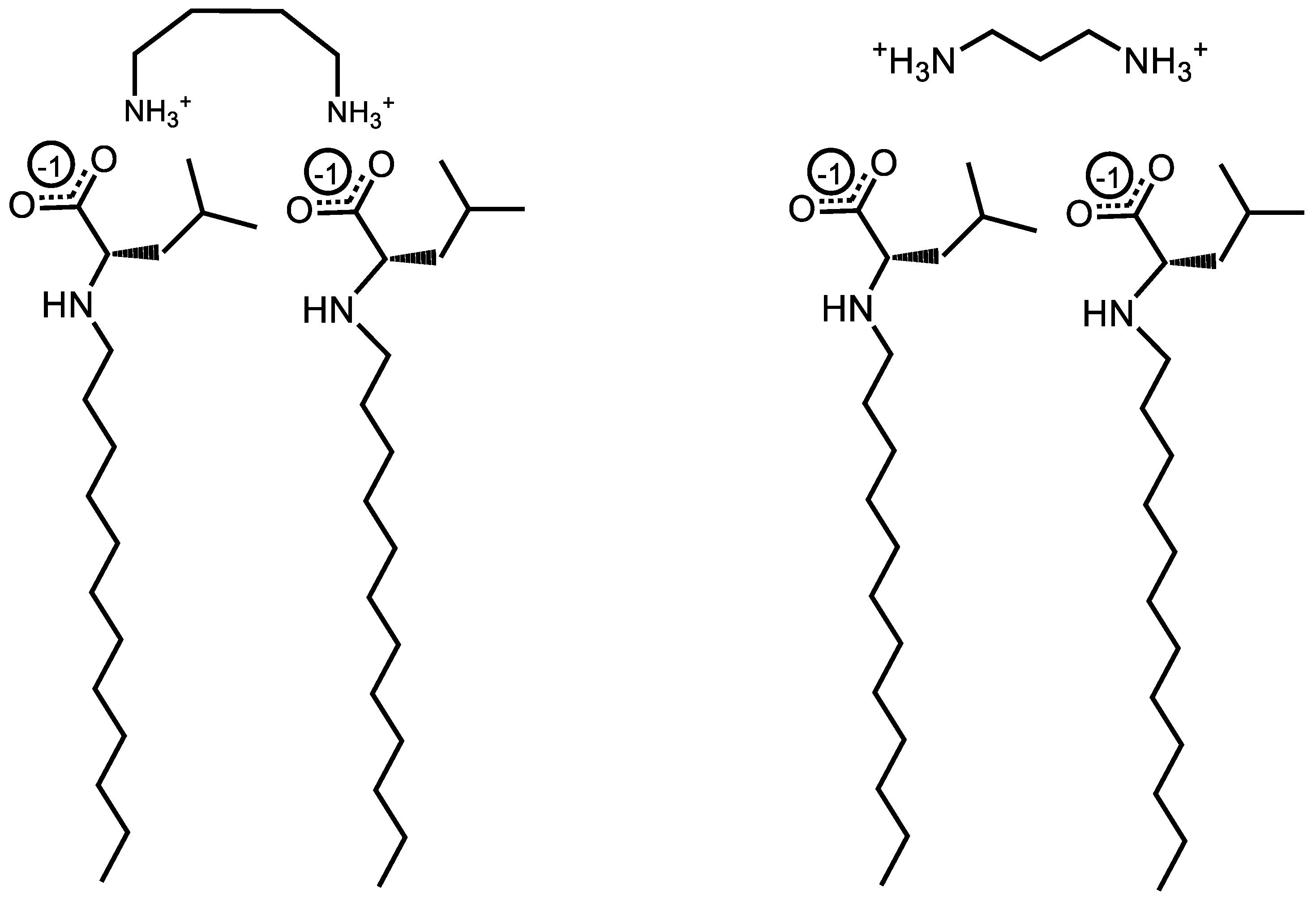 Molecules 29 04436 g005