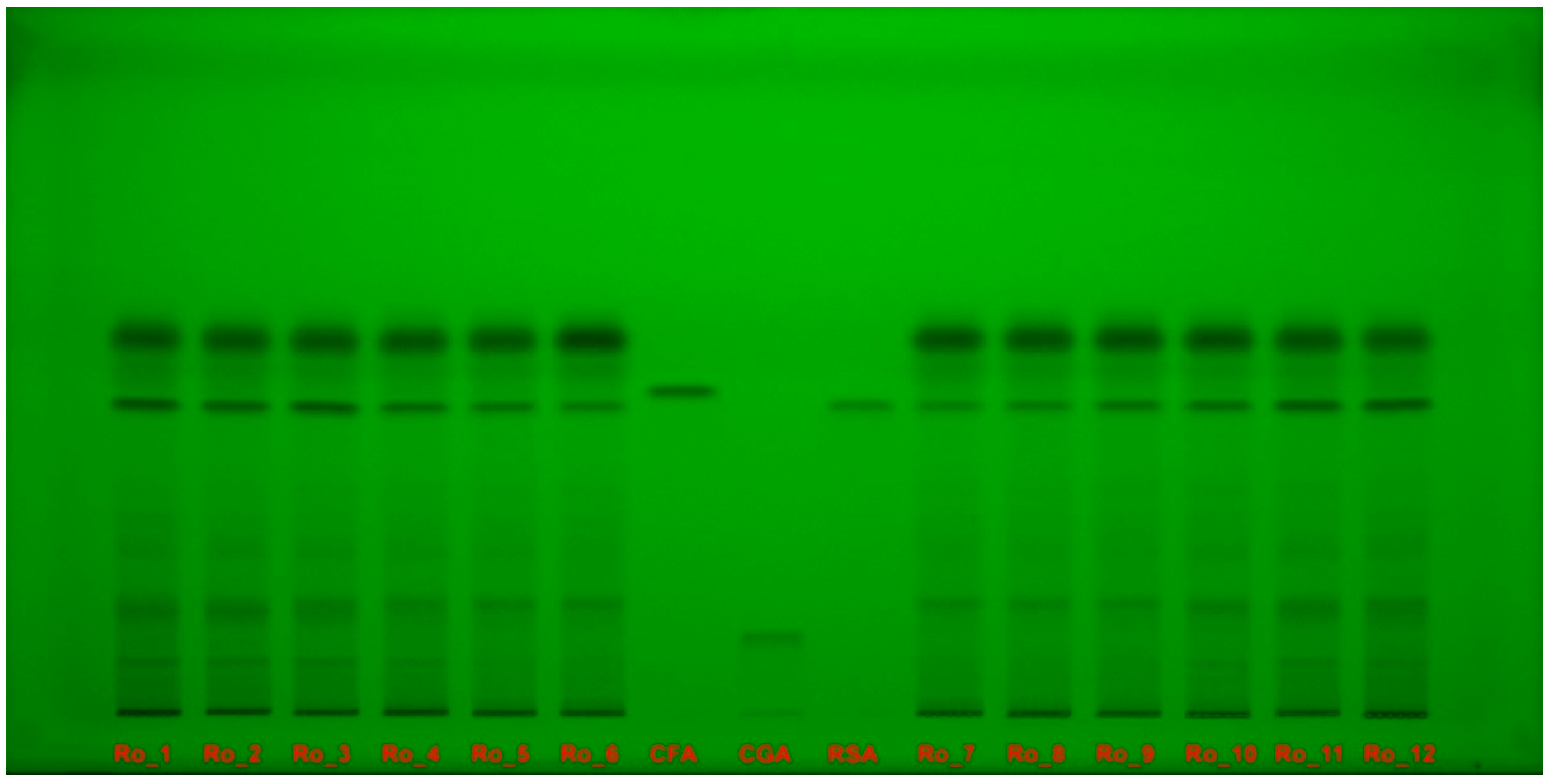 Molecules 29 04438 g004