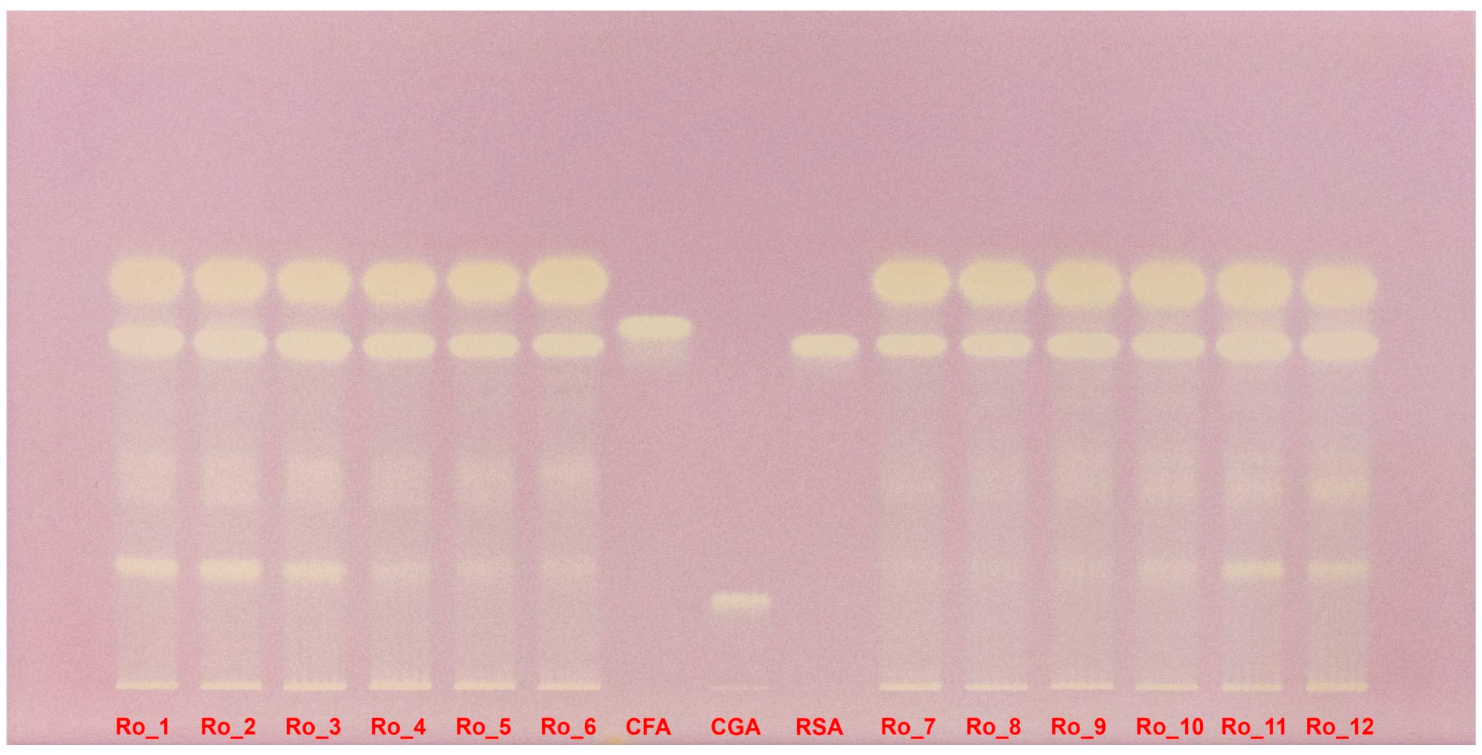 Molecules 29 04438 g006