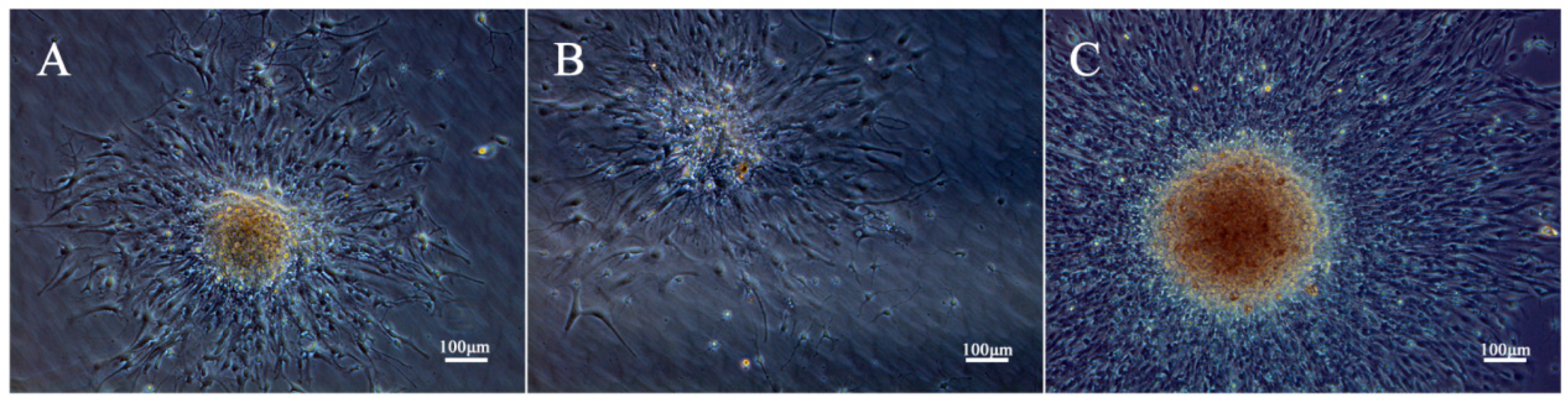 Molecules 29 04439 g002 Molecules 29 04439 g002