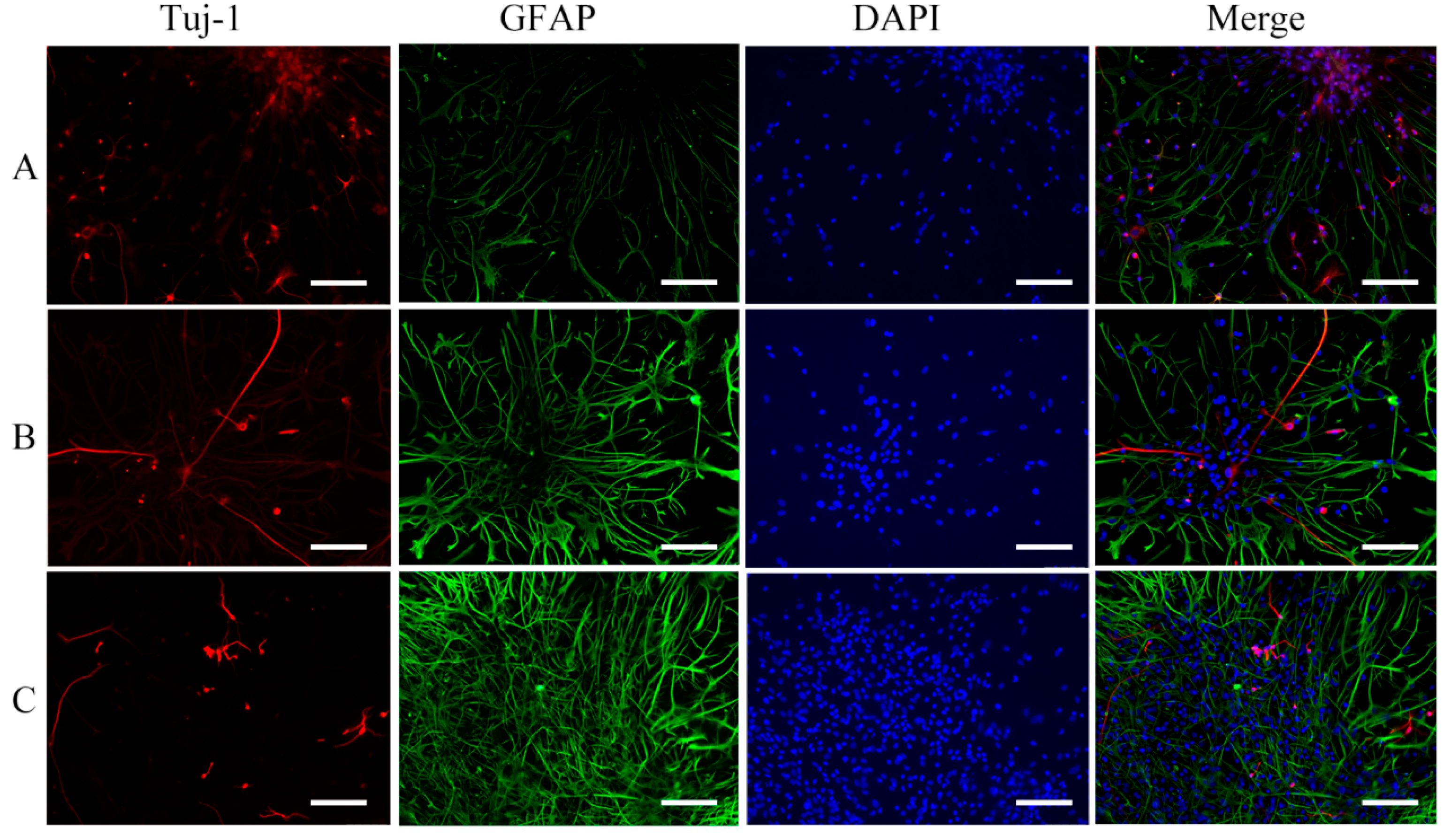 Molecules 29 04439 g003 Molecules 29 04439 g003