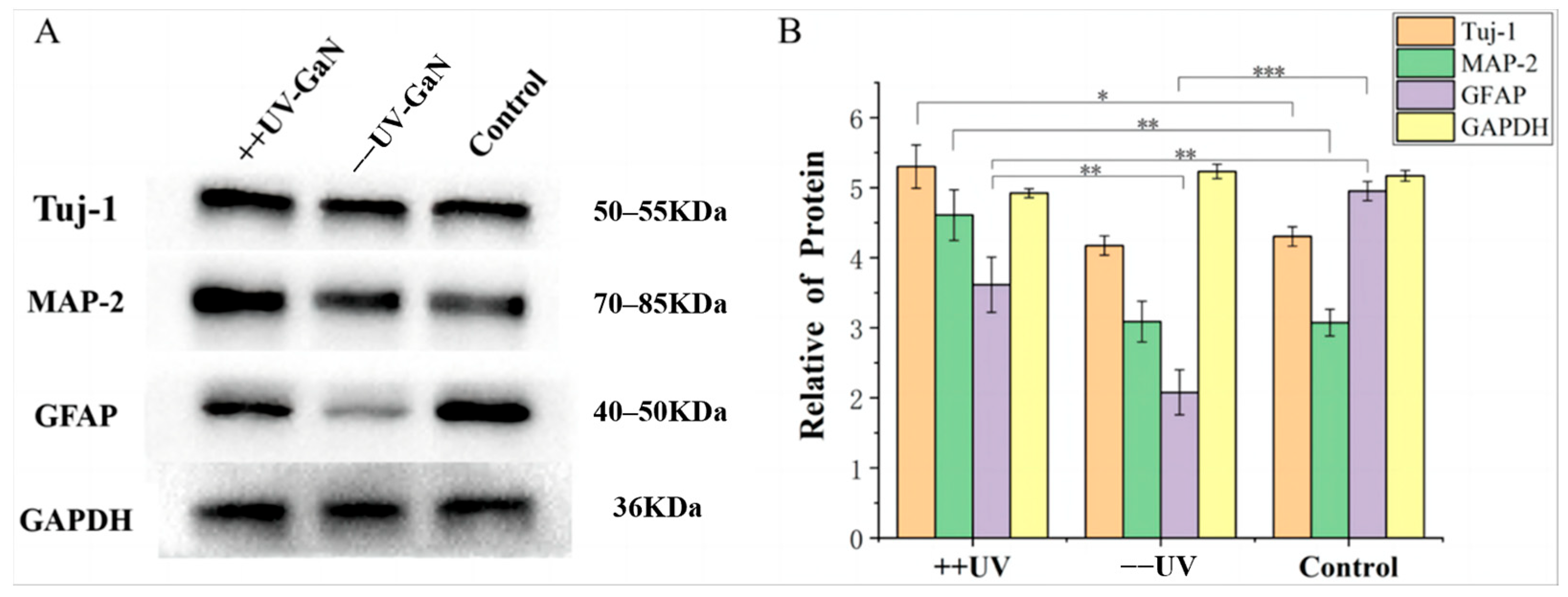 Molecules 29 04439 g004 Molecules 29 04439 g004