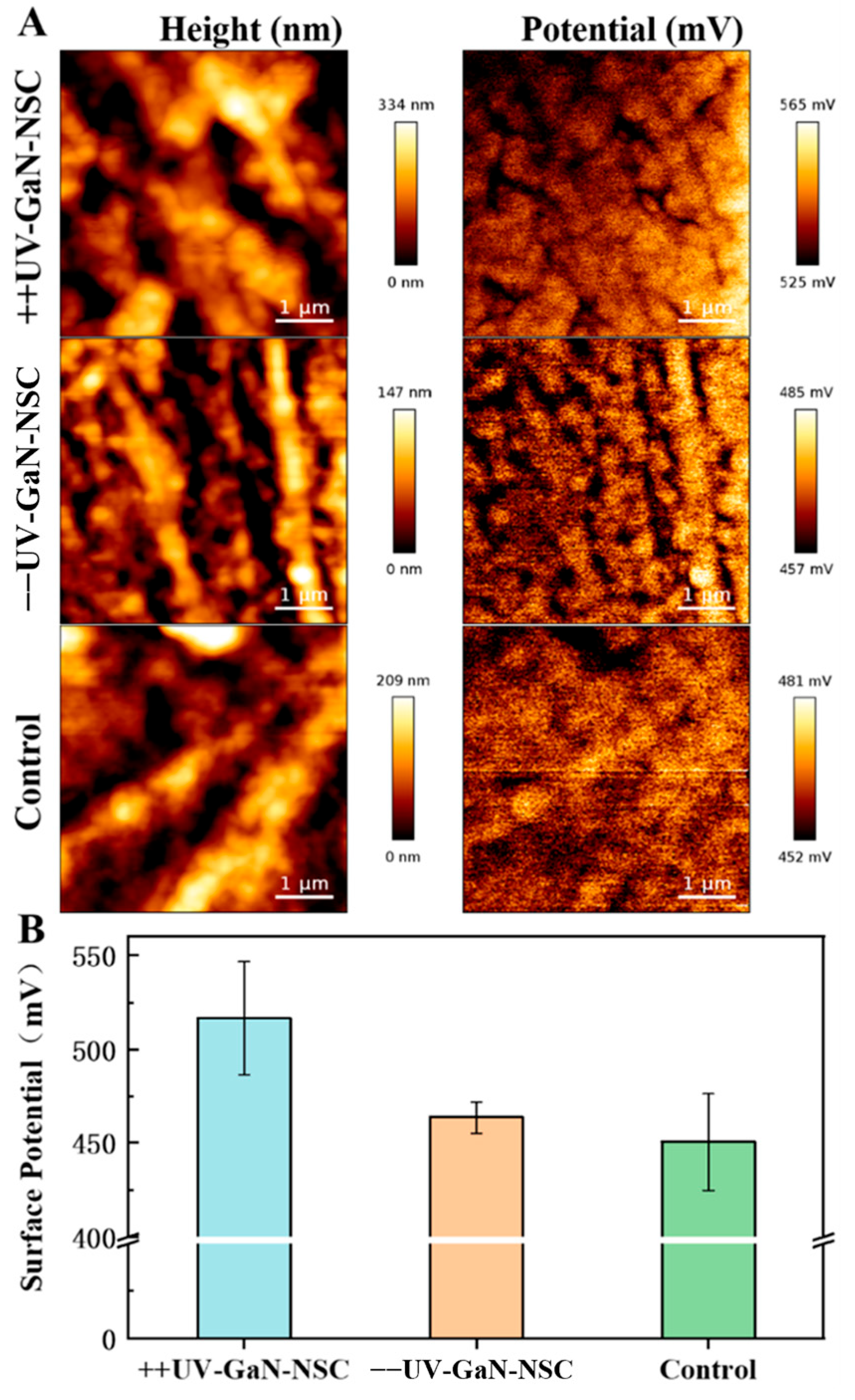 Molecules 29 04439 g005 Molecules 29 04439 g005