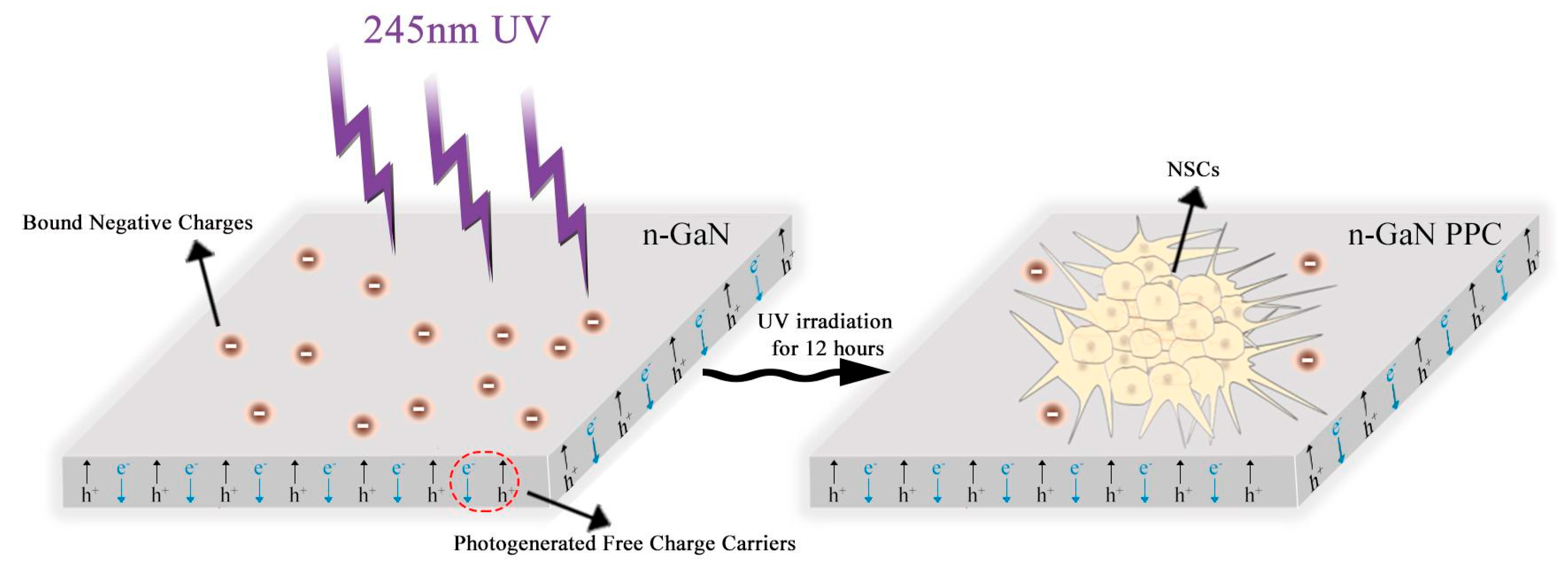 Molecules 29 04439 sch001 Molecules 29 04439 sch001