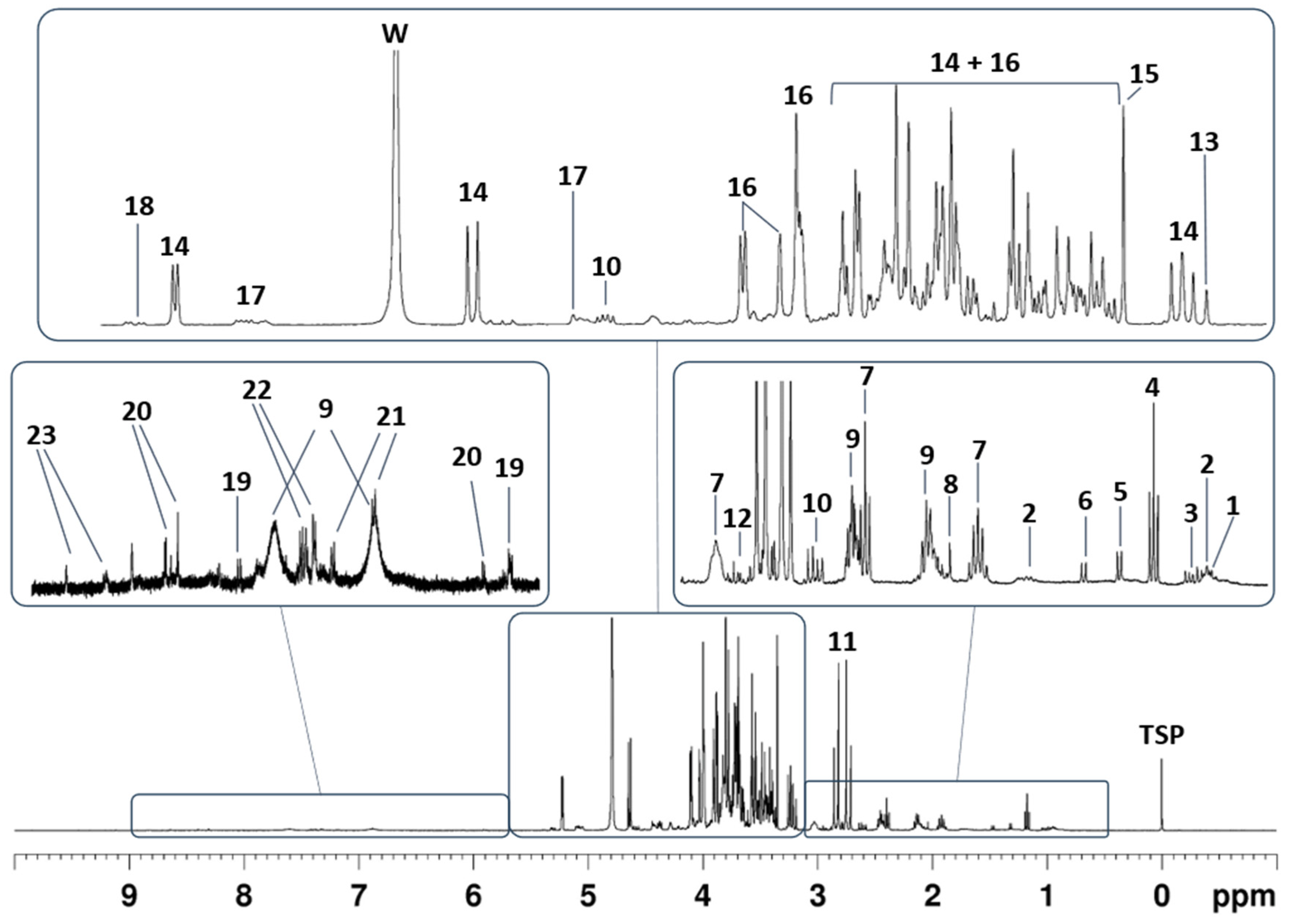 Molecules 29 04441 g001
