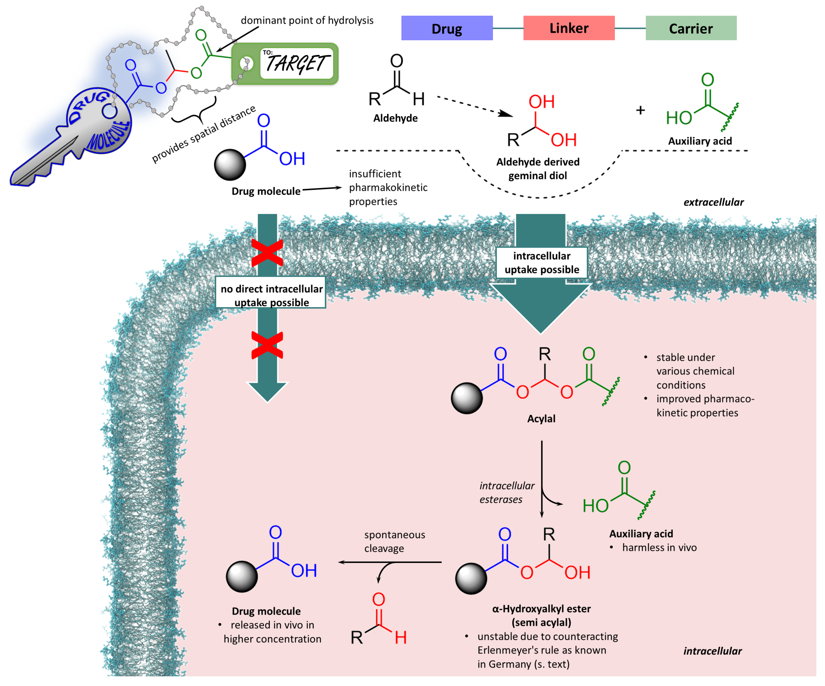 Molecules 29 04451 g006 Molecules 29 04451 g006