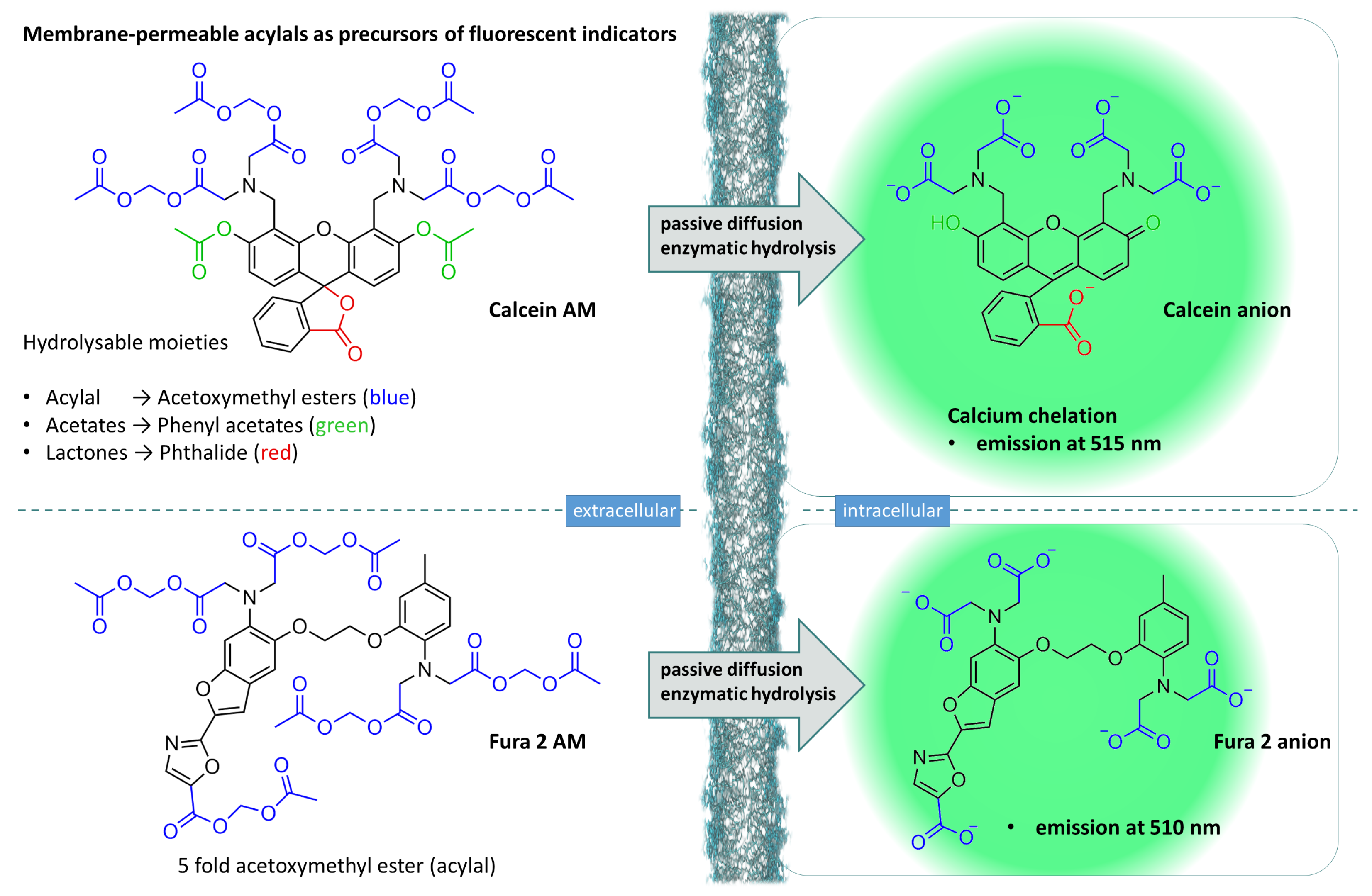Molecules 29 04451 g009 Molecules 29 04451 g009